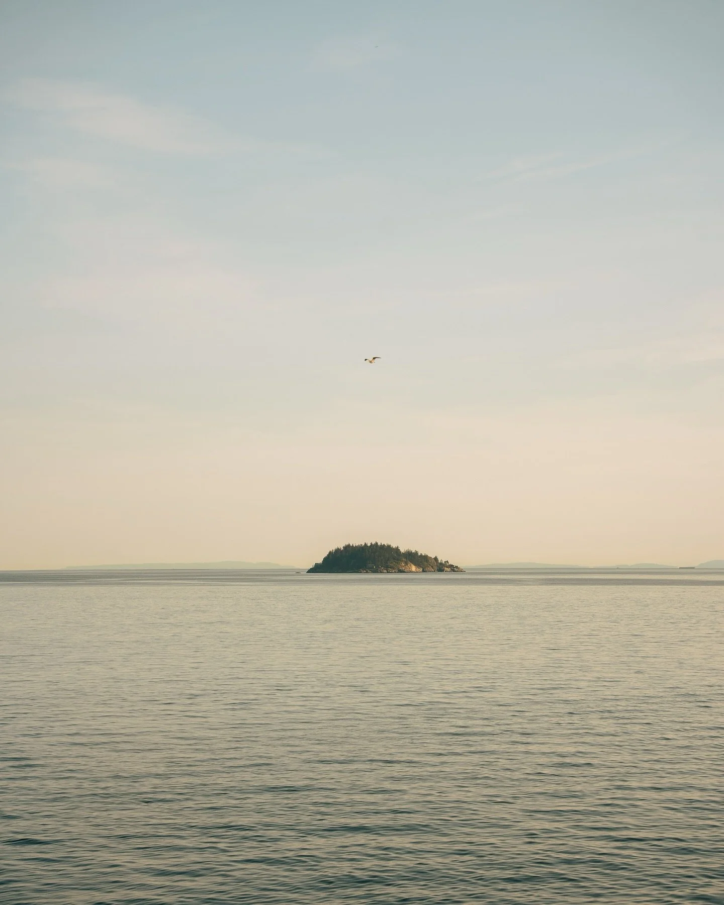 Small towns, slow mornings, sunrise coffees, and cute harbour dogs&hellip; what more could you need?? 

📍 @hummingbirdoceansidesuites 

Shot on: @sonyalpha a7iii
Edited on: @adobe @lightroom 

#explorebc #bowenisland #bcisbeautiful #sonyalpha
