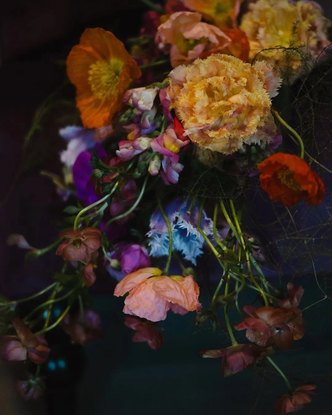 Did some moody shots for @dahliasanddaisiessa and needless to say I&rsquo;m obsessed. Her color palettes? Flawless. Every time. The epitome of artistry and the absolute best in the floral biz.✨