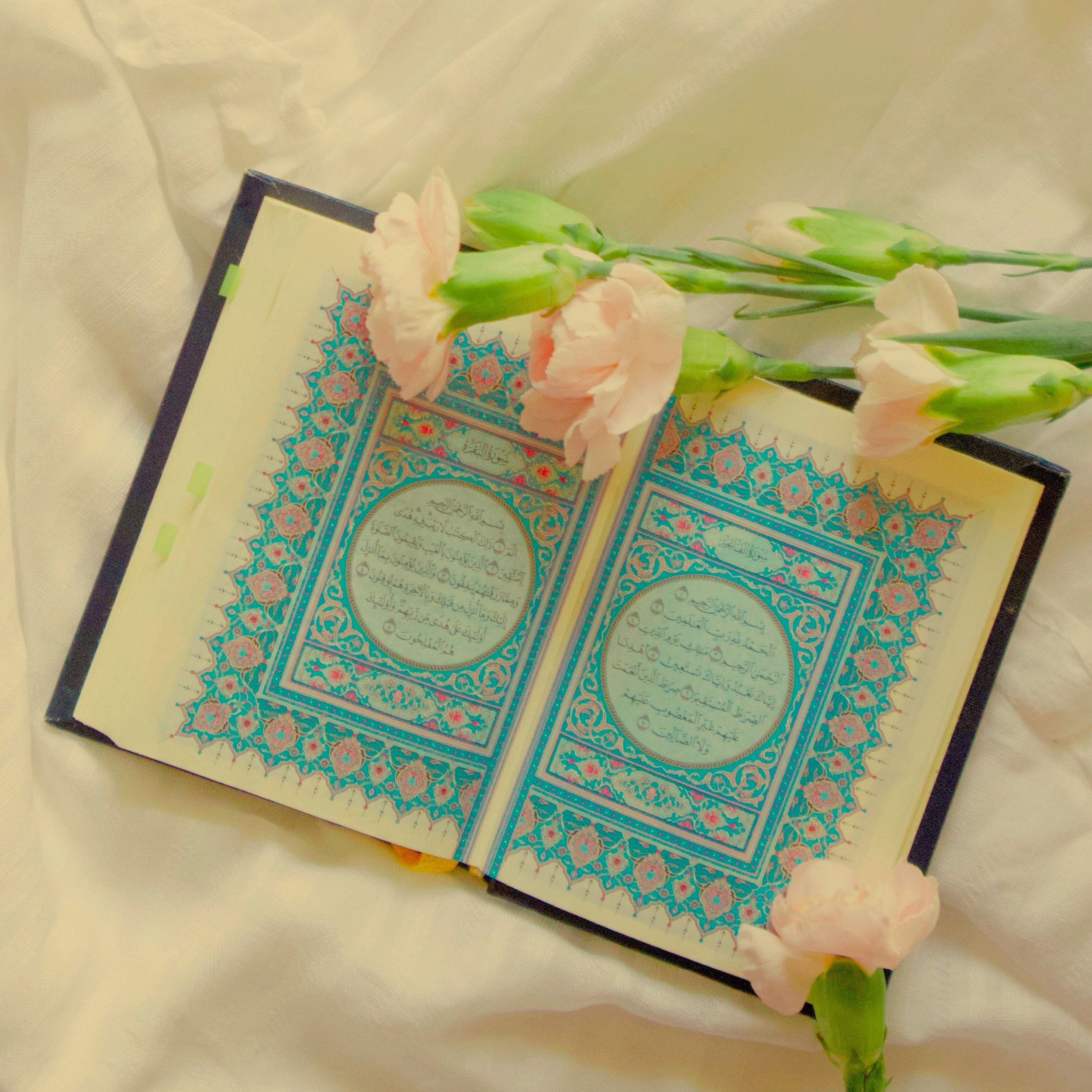 An open Quran with intricate blue and pink border designs, accompanied by light pink flowers resting on it, placed on a light-colored fabric surface.