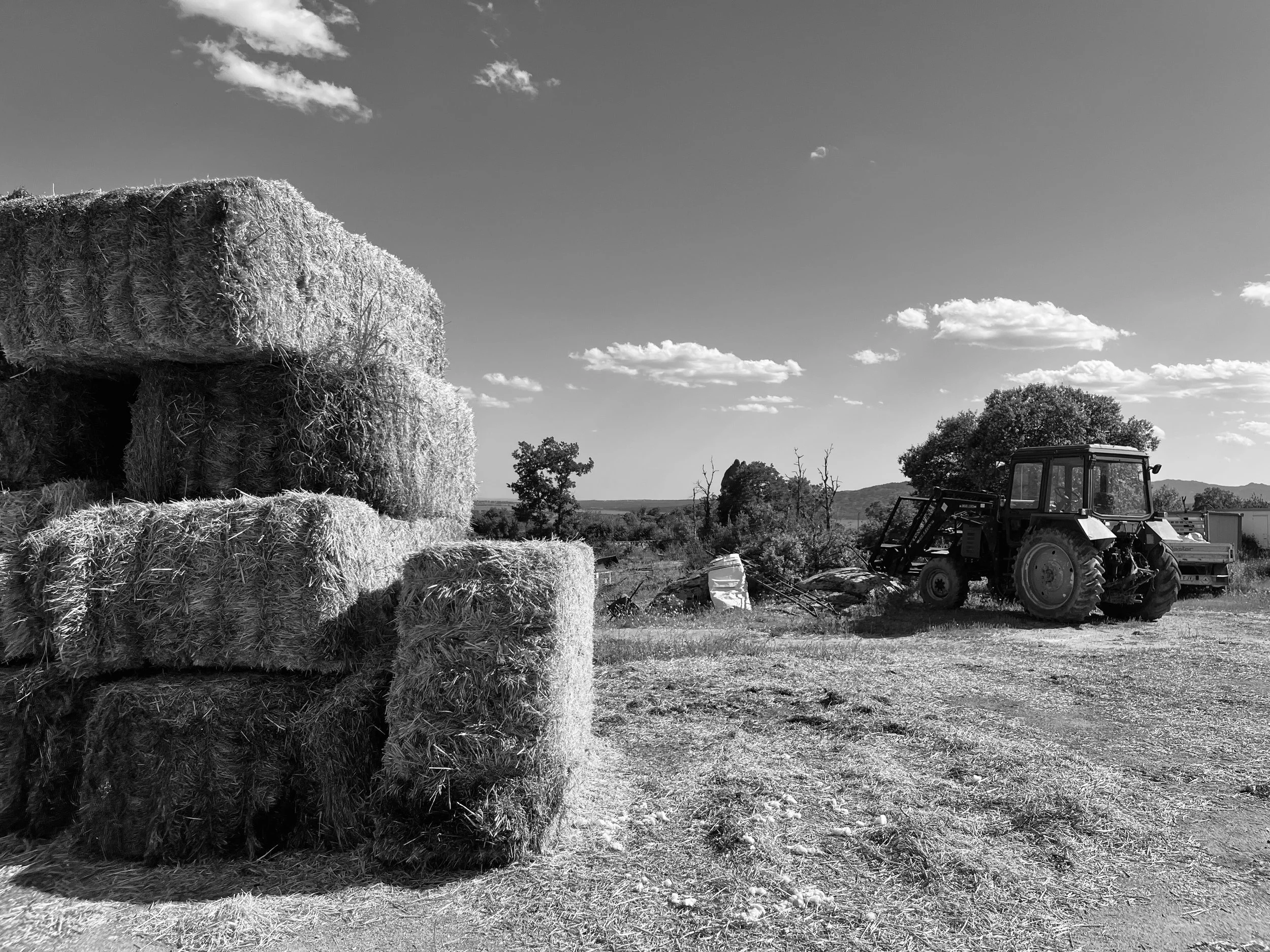 Madrid Photography (B&W)