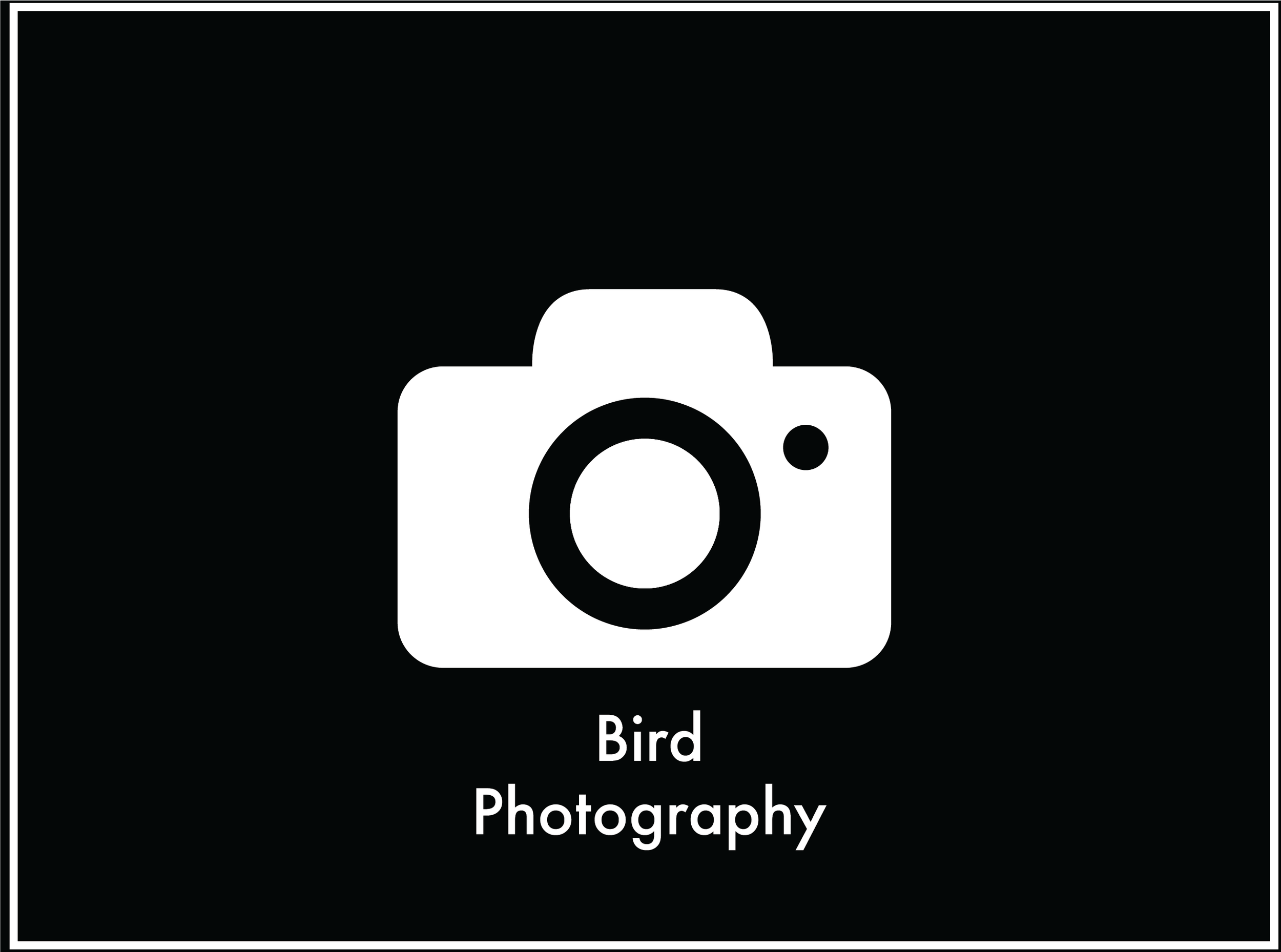 Bird Photography