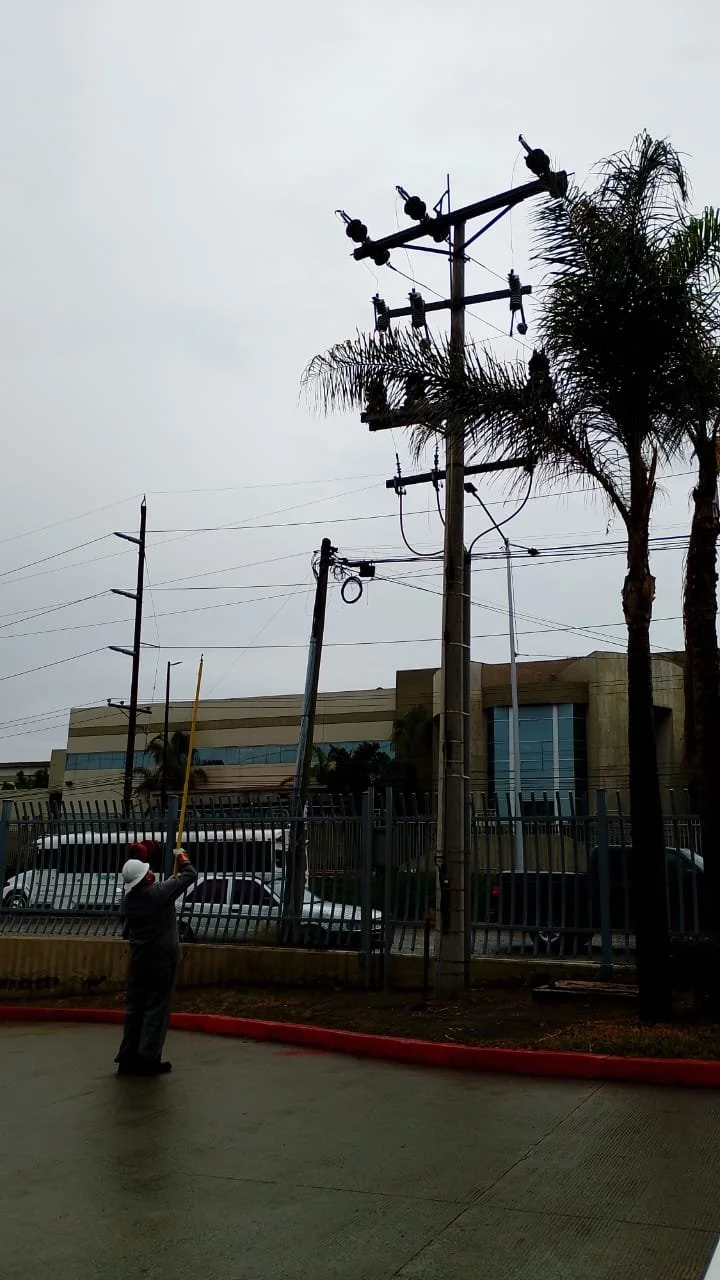Worker in safety gear using a long pole to trim or service electrical wires on a street pole, with palm trees and a building in the background on an overcast day.
