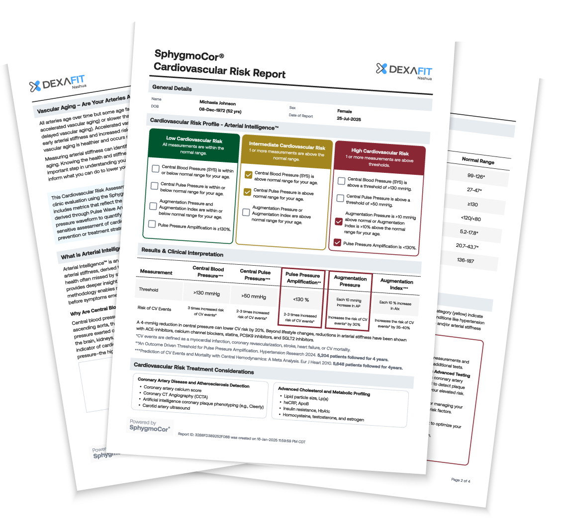Arterial Assessment Report Image