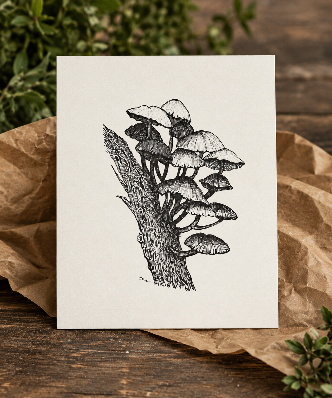 Rustic Mushroom Botanical Print Display.png