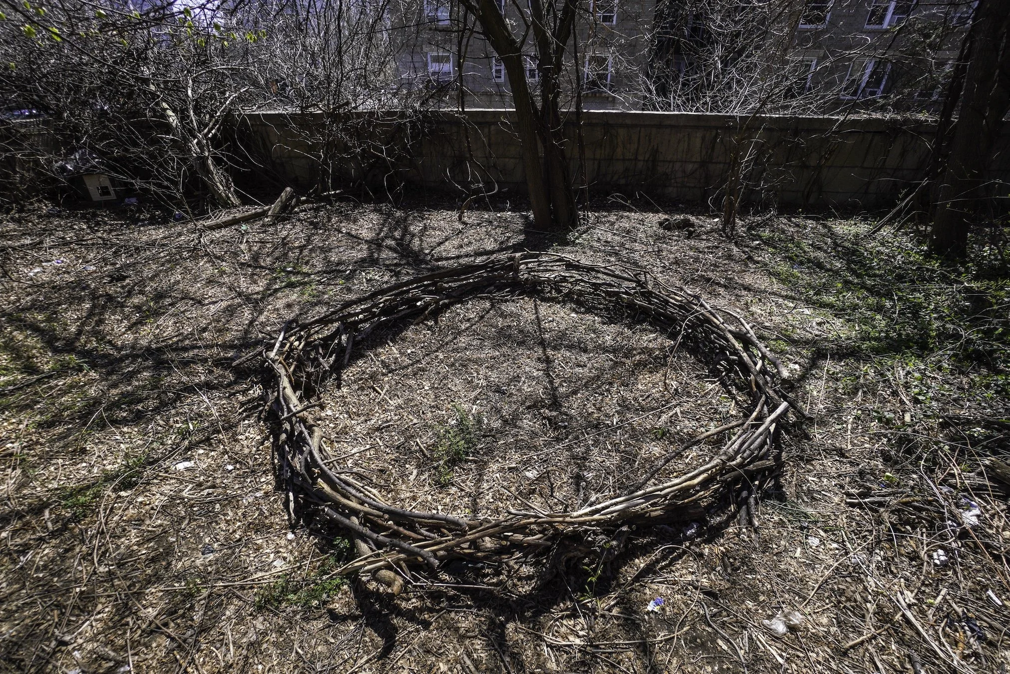 Untitled (Nest), 2025, Branches, Dimensions Variable