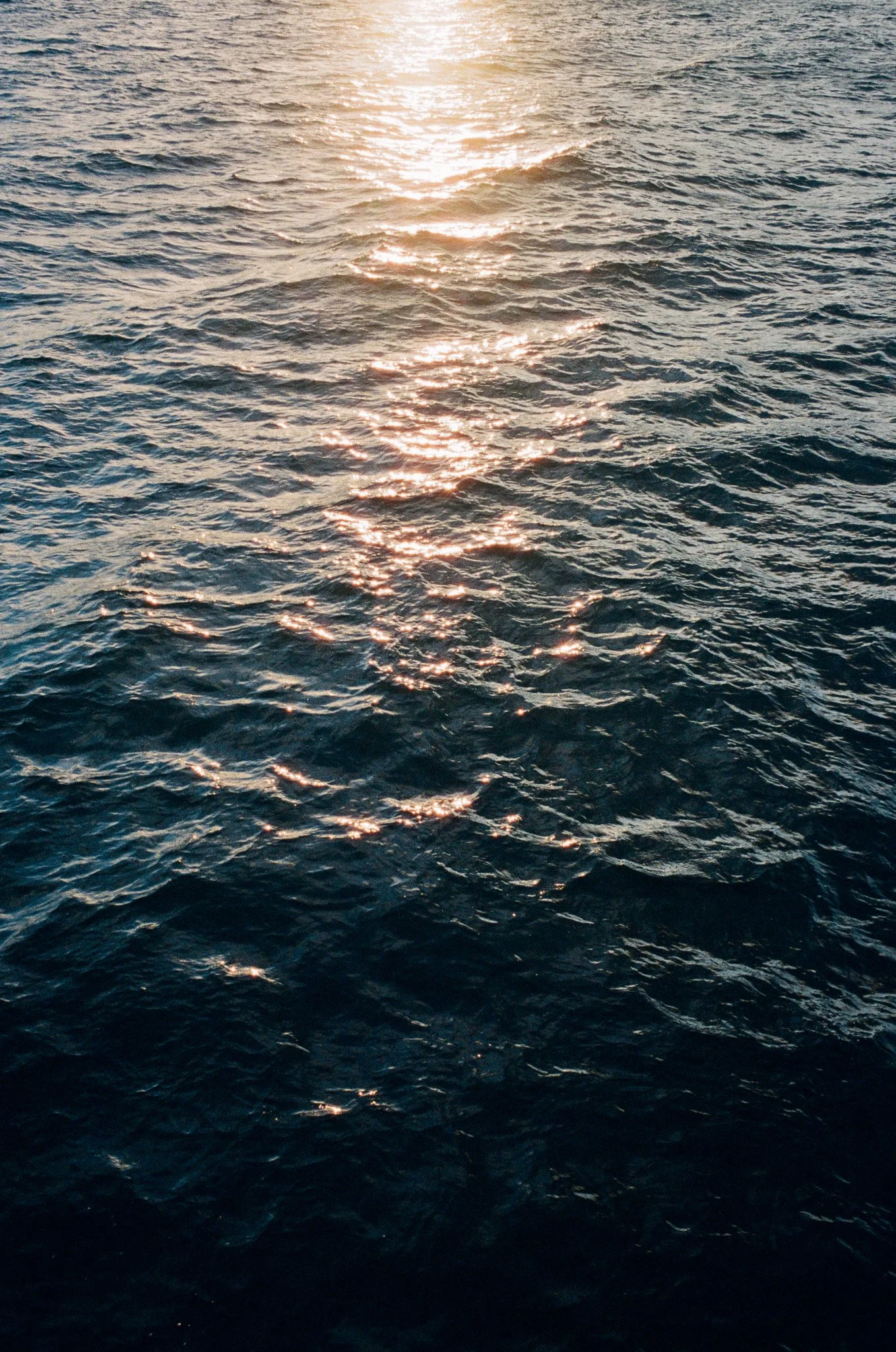 kodak_800_c_41_25486_94571_210548_002076820005.jpg