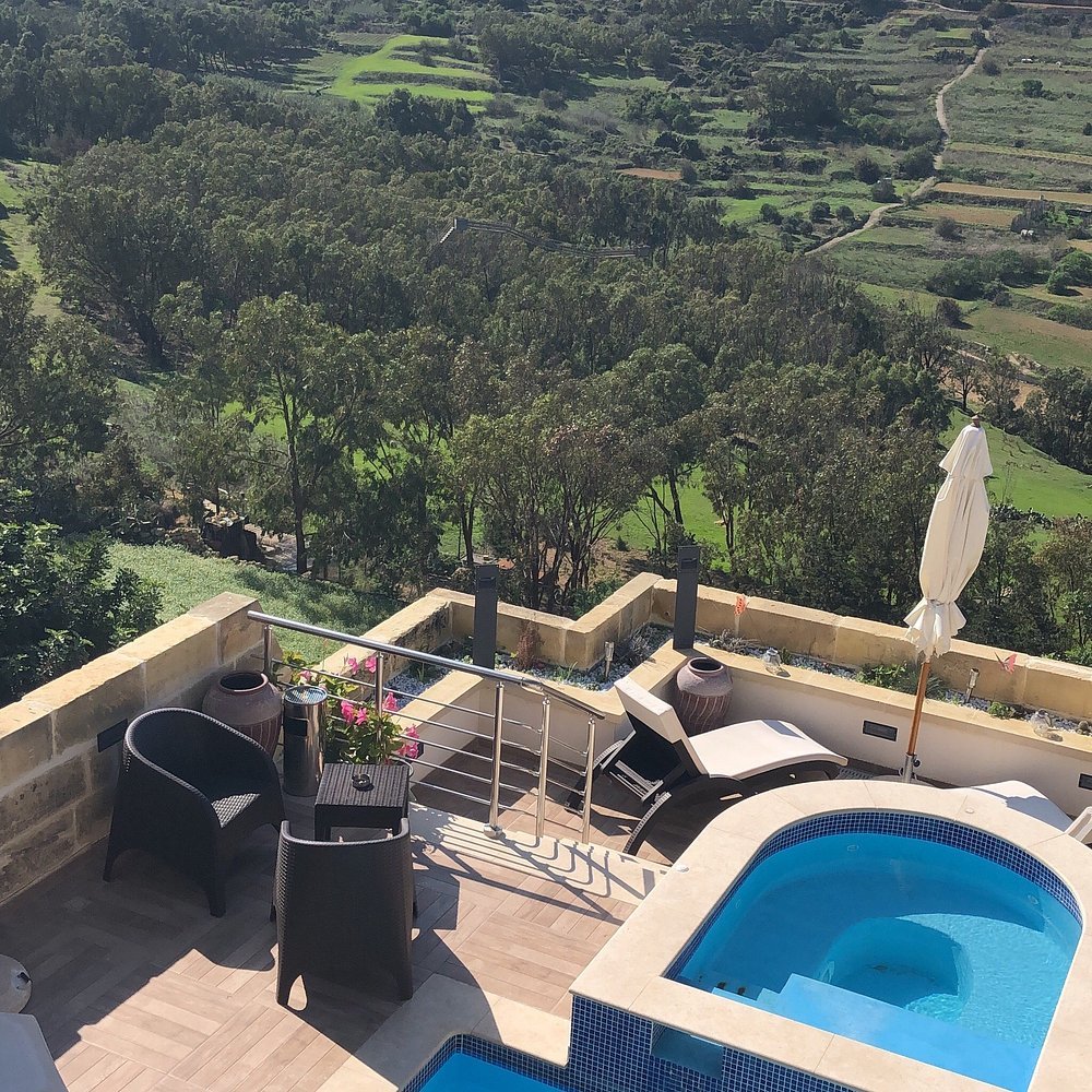 trees_green_1_spa.jpg