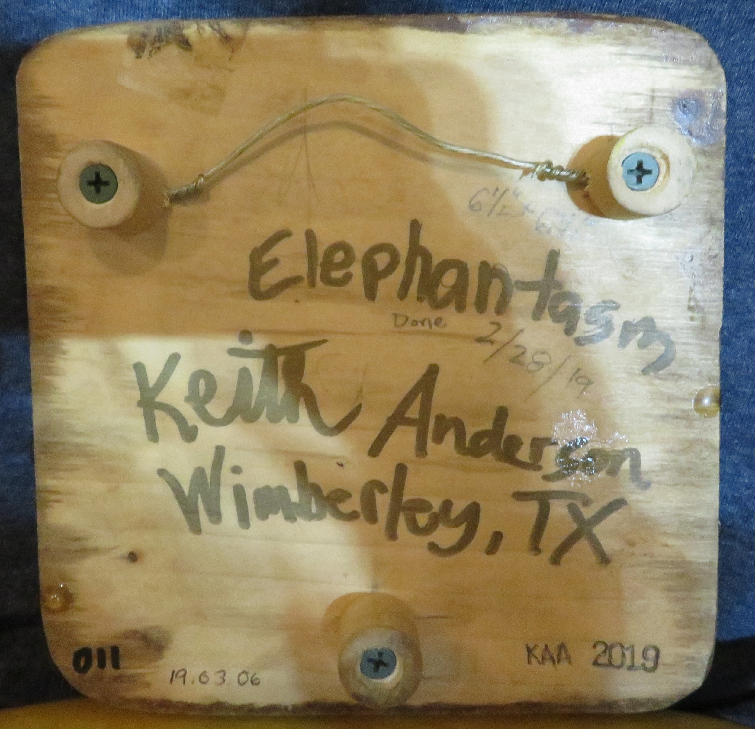 Elephantasm back crop.jpg