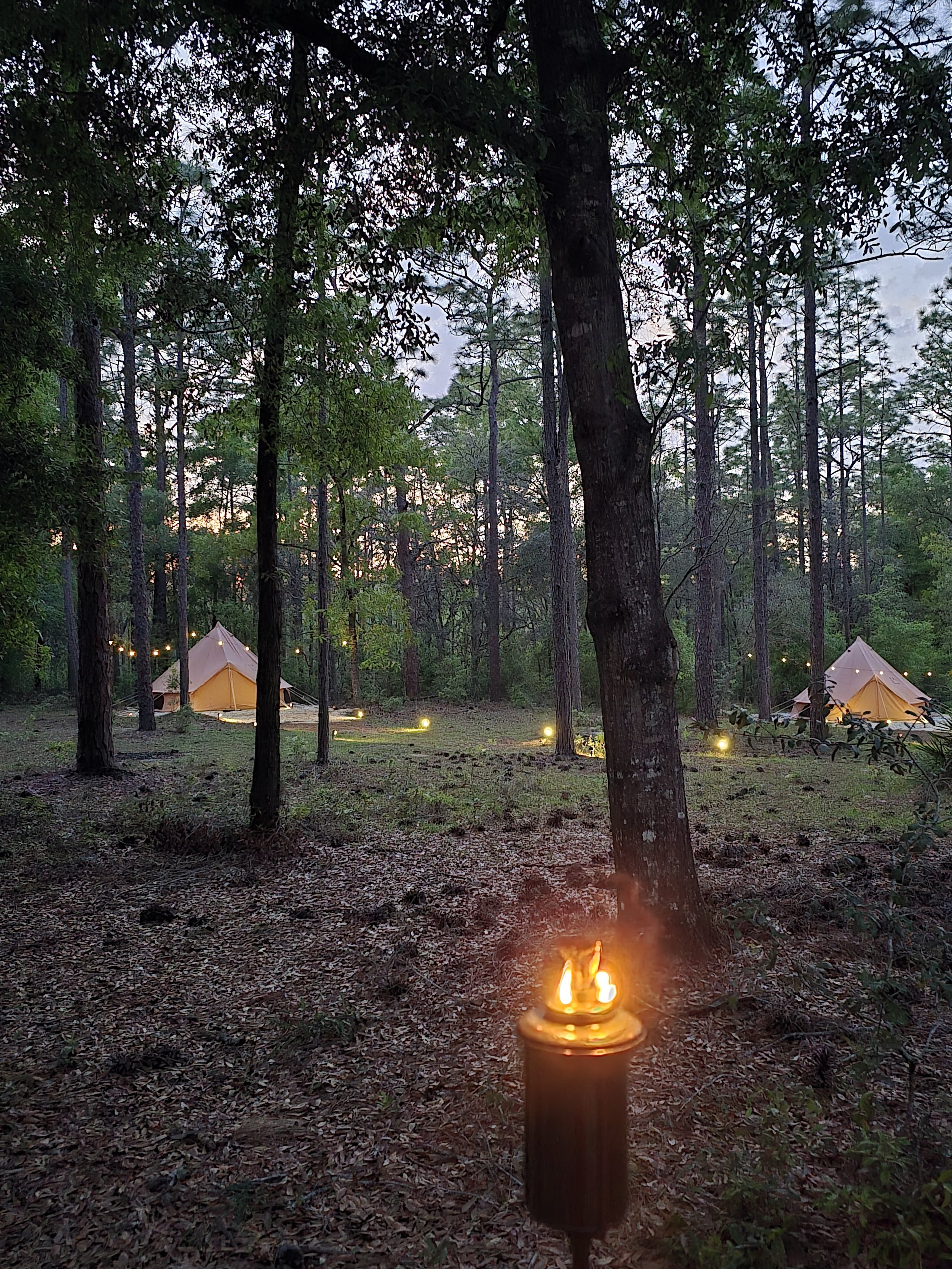 Camping scene in a forest at dusk with two tents decorated with string lights, trees, and a tiki torch in the foreground.