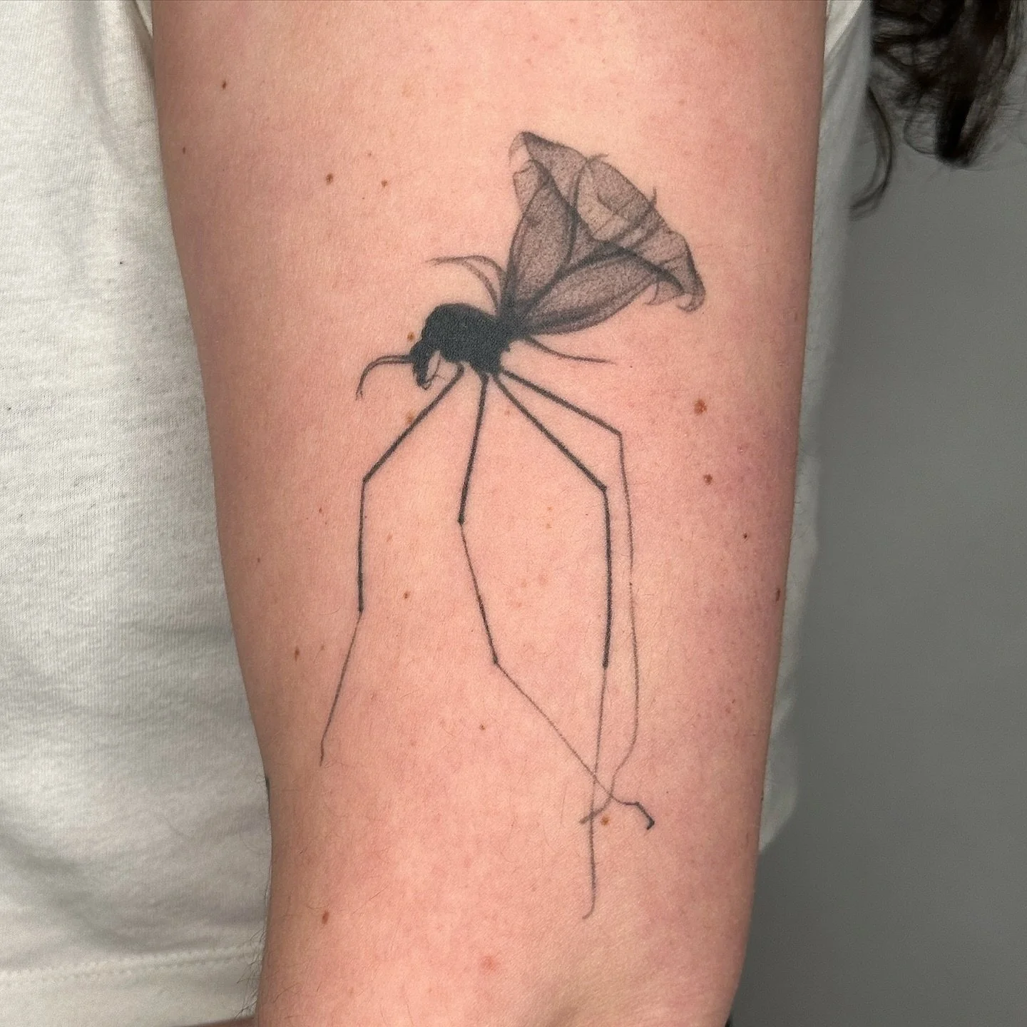 Hot heal alert !! Healed about 8 mounts on client Becca, I love all the tiny details in the head and flower, great example of how you can expect my work to heal 🖤🖤