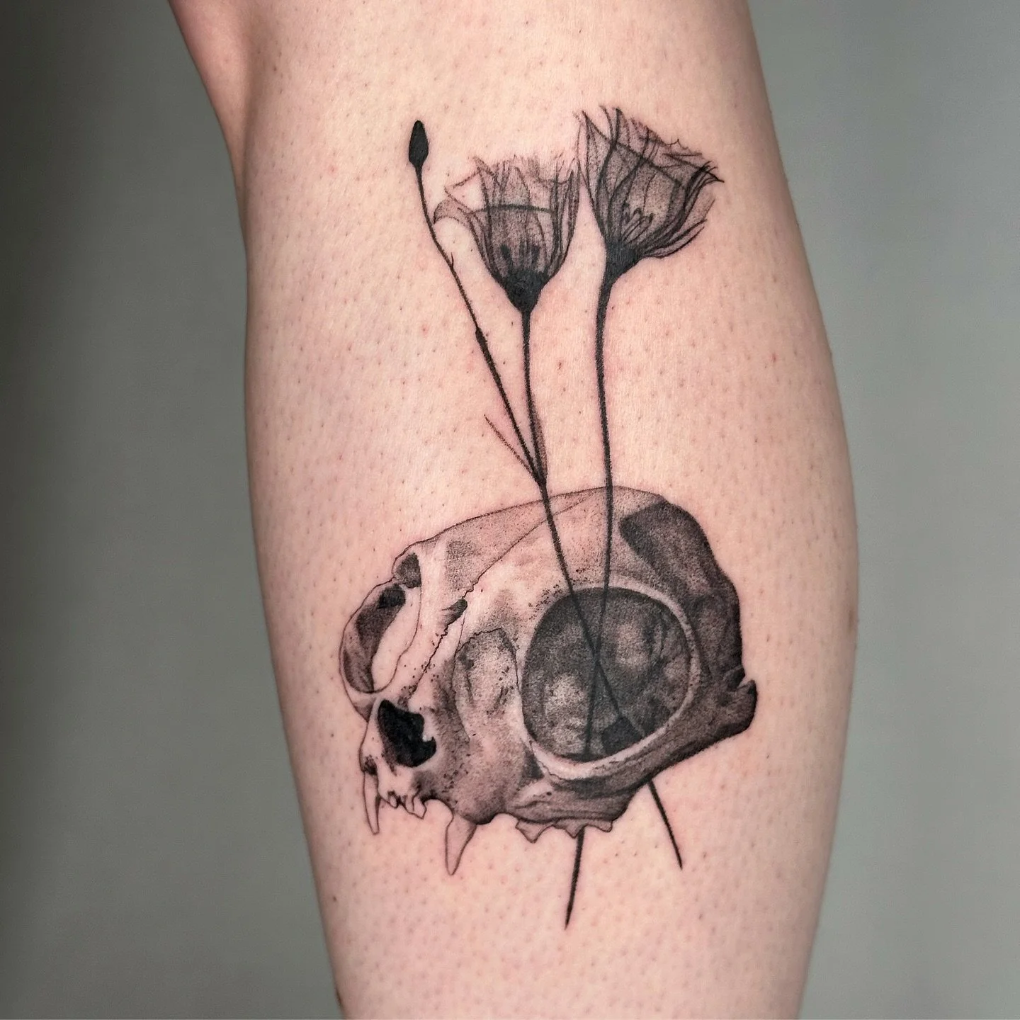Cat skull with x-ray flowers from my flash for sweet return client Becca ! Love this placement, and would be super down for more skulls ! This was so fun 🐱💀