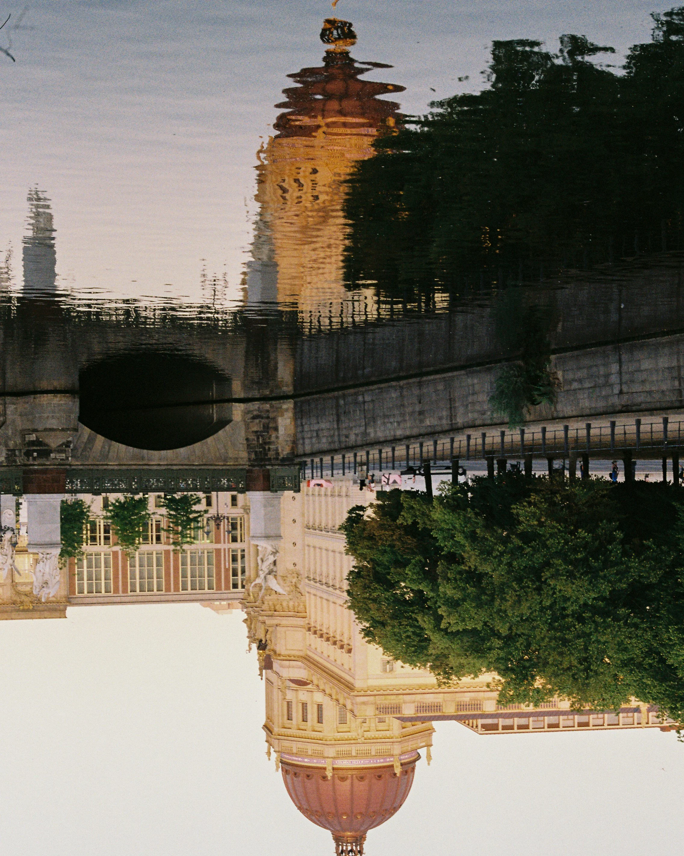 What’s the Difference Between ADHD Coaching and Therapy