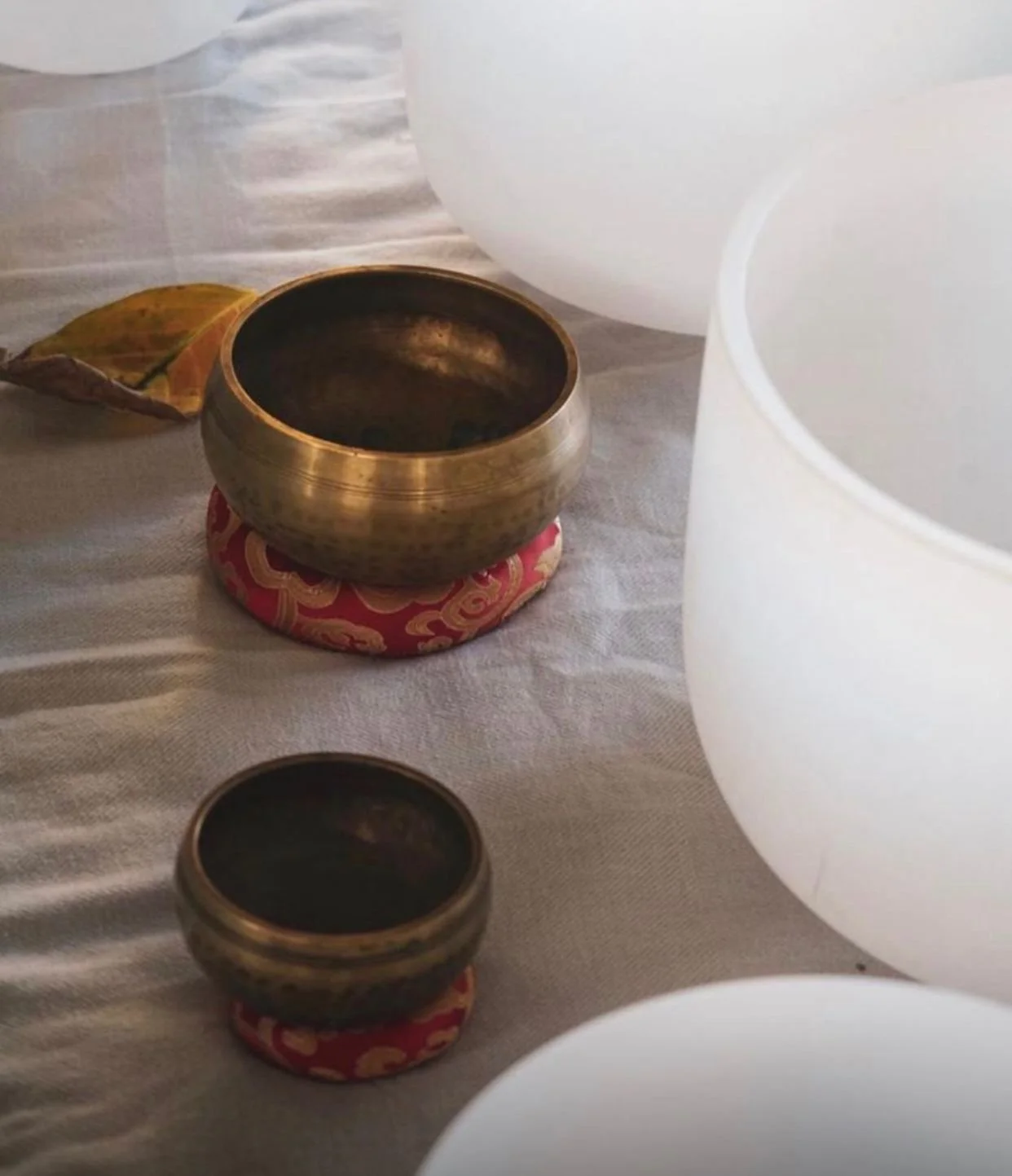 LYC [West] - Soft Opening 