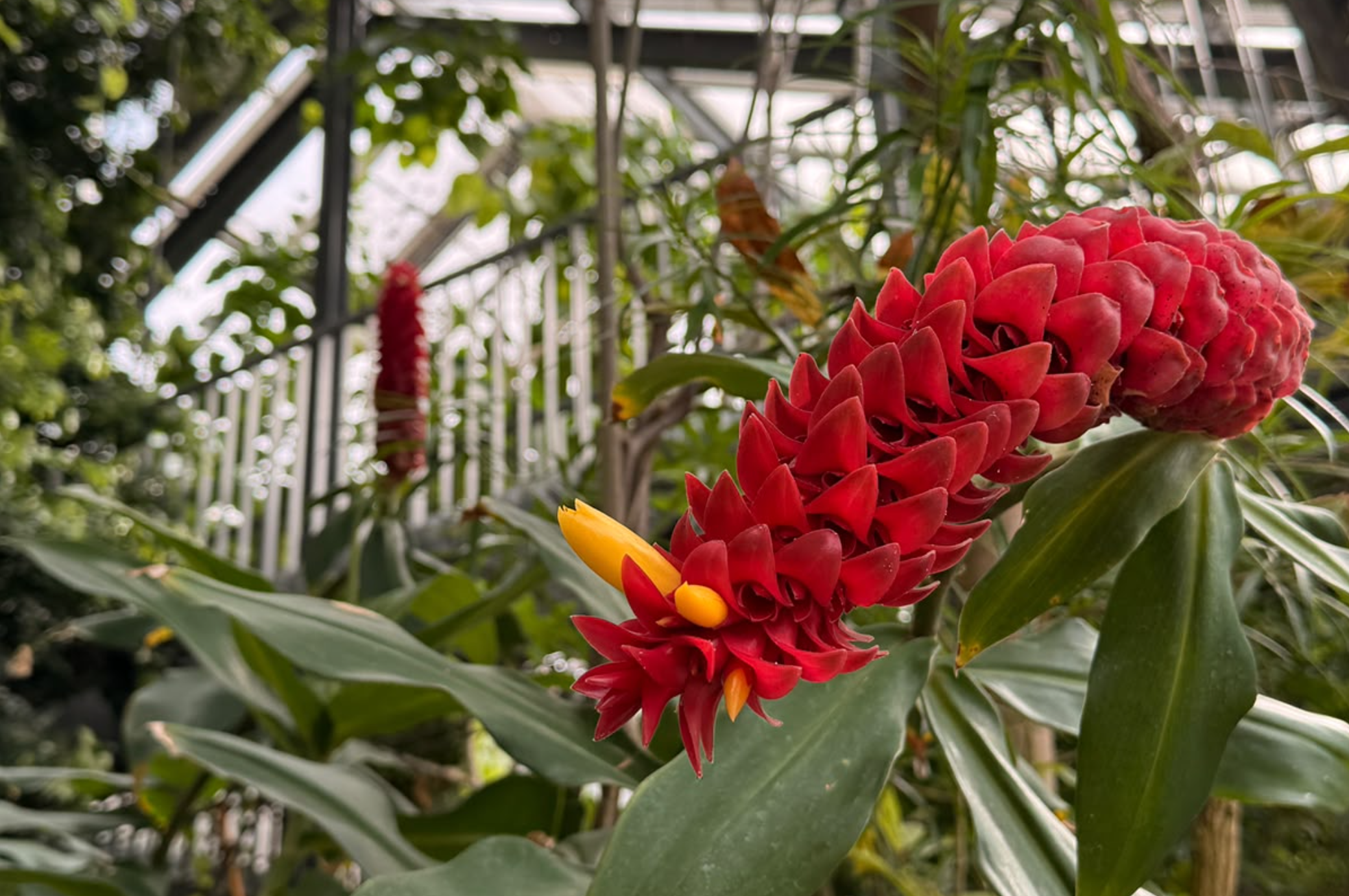 Yoga im Botanischen Garten