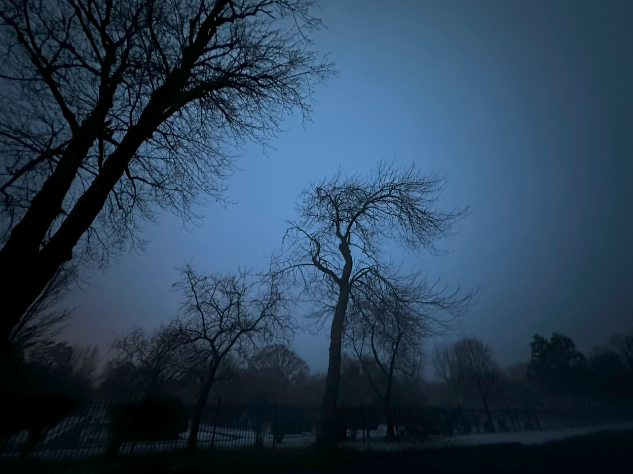 Screenshot 2025-01-30 151238.png