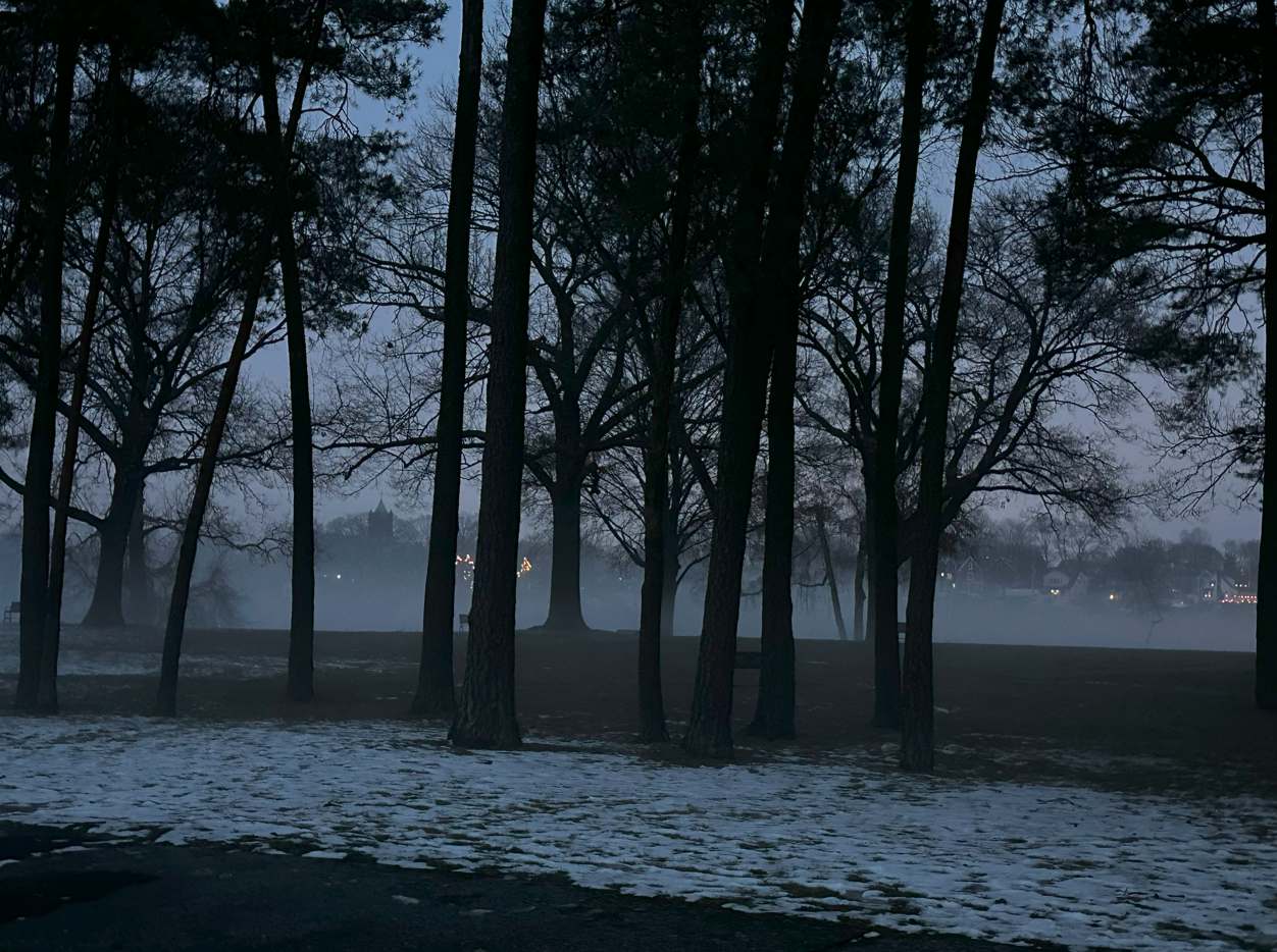 Screenshot 2025-01-30 151131.png