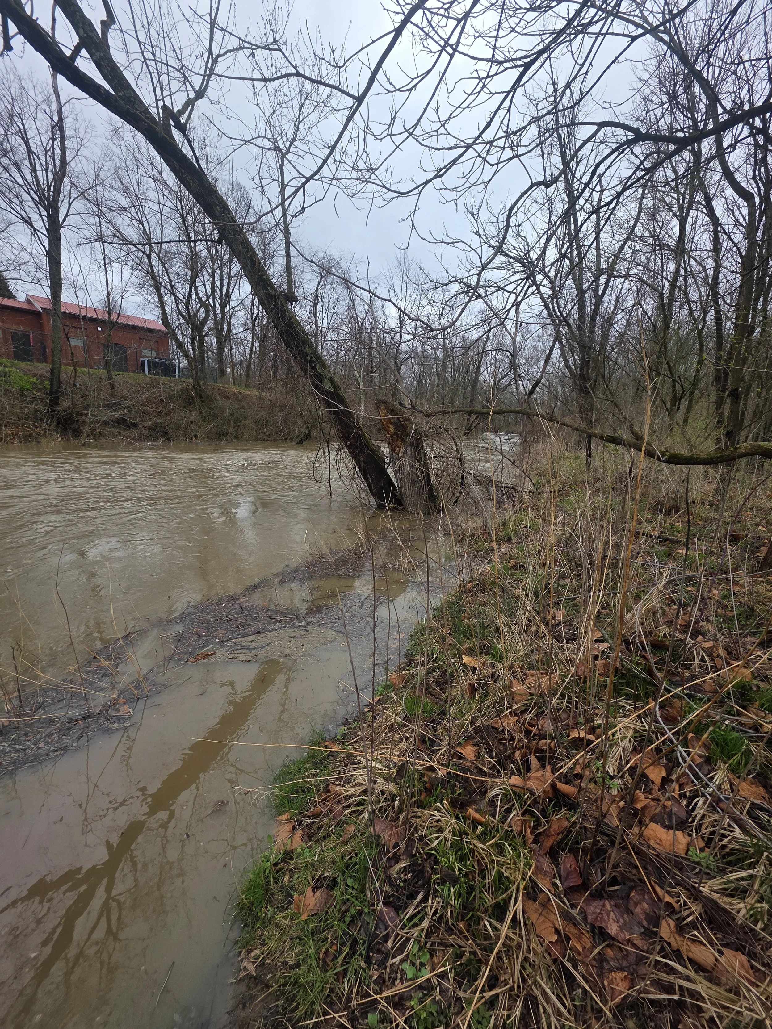 Mahoning River/ Mahoning Valley Trailhead