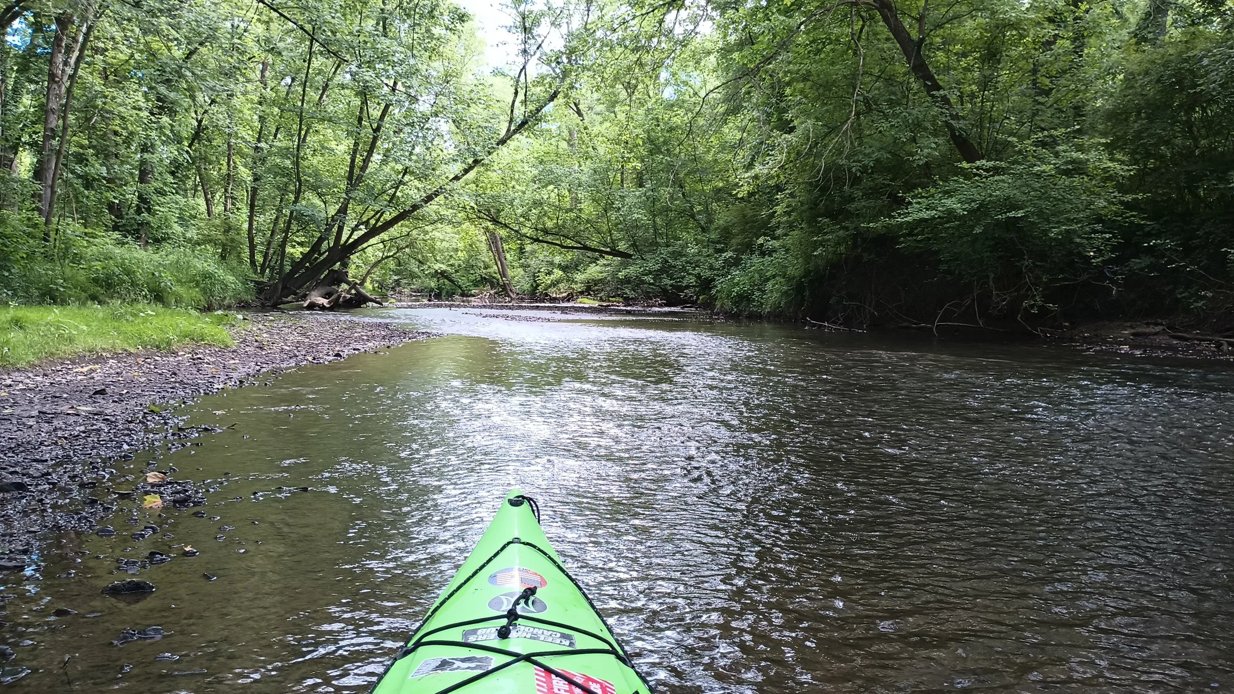River Clean-Up