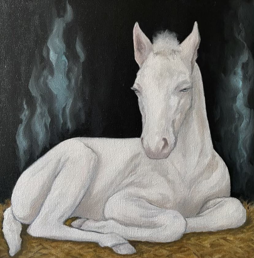 Stormy, 12 x 12" Oil on Canvas, 2026
