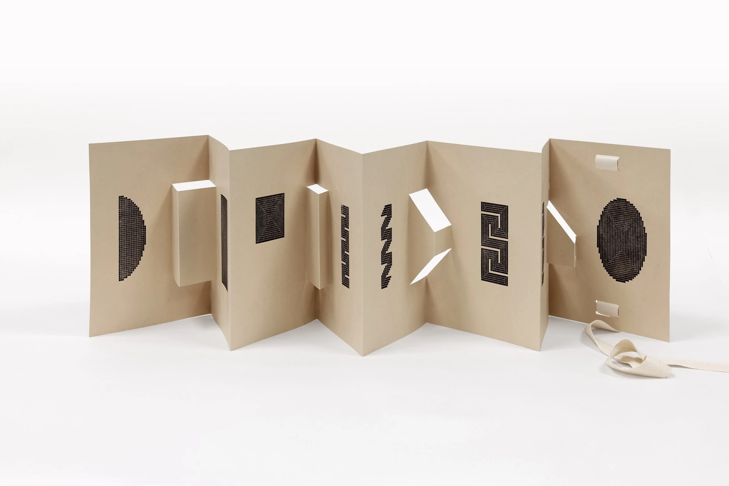 Futurity Library: Disobedient Artists' Books in the Postbook Age Opening Reception