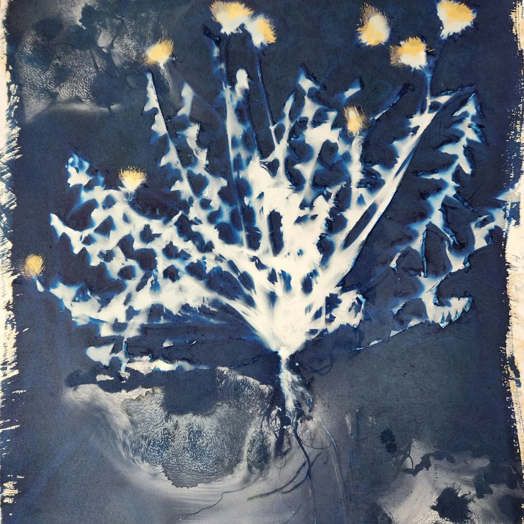 BOOK TALK: Printing with the Sun with Madge Evers