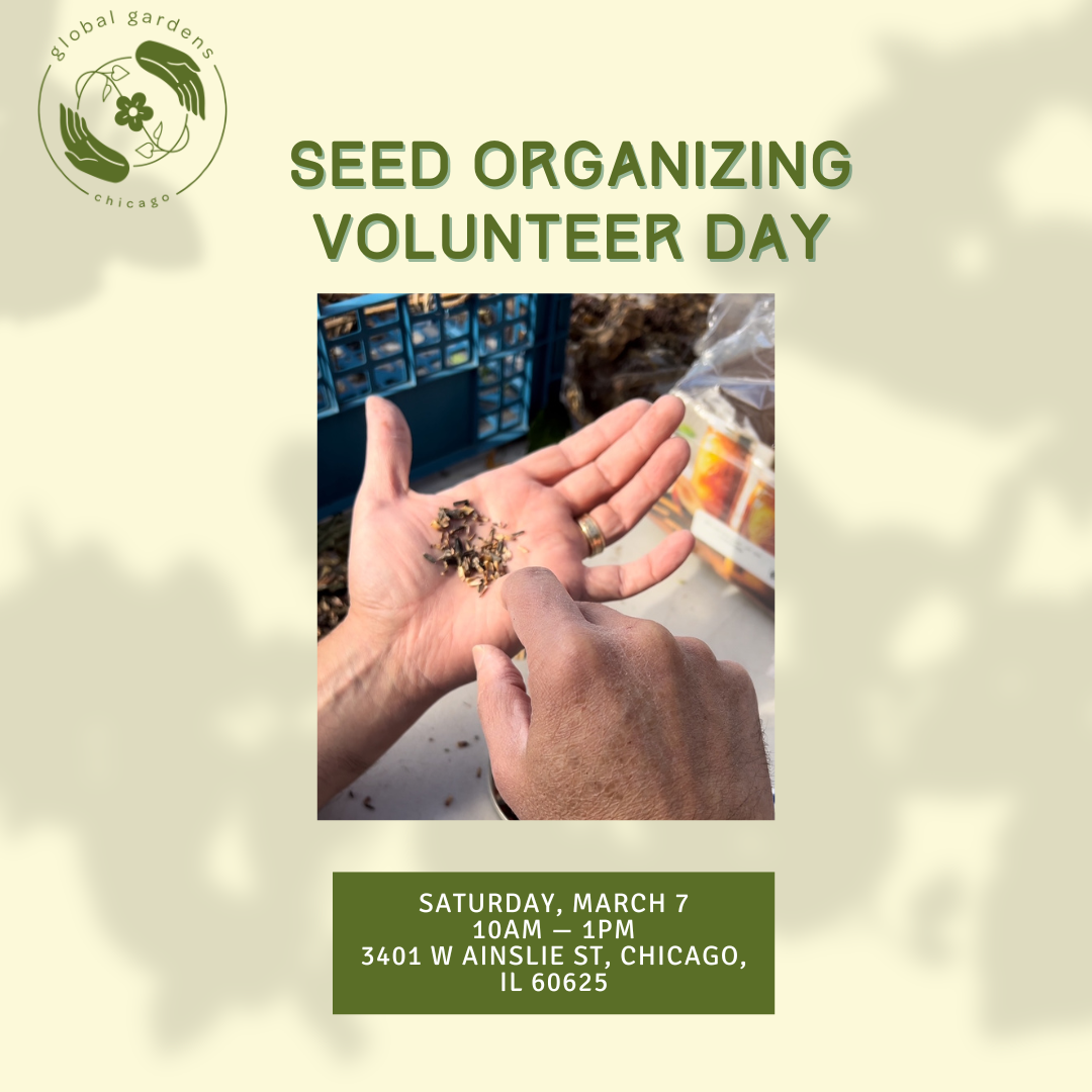 Volunteer Seed Organizing Day