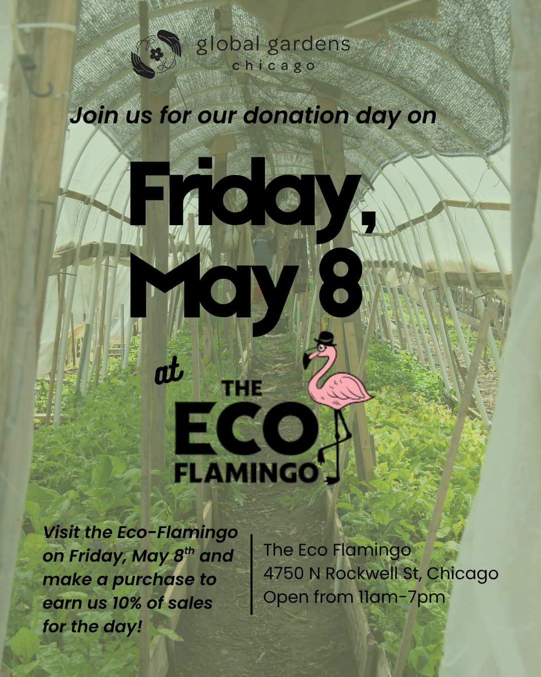 Donation Day at Eco-Flamingo