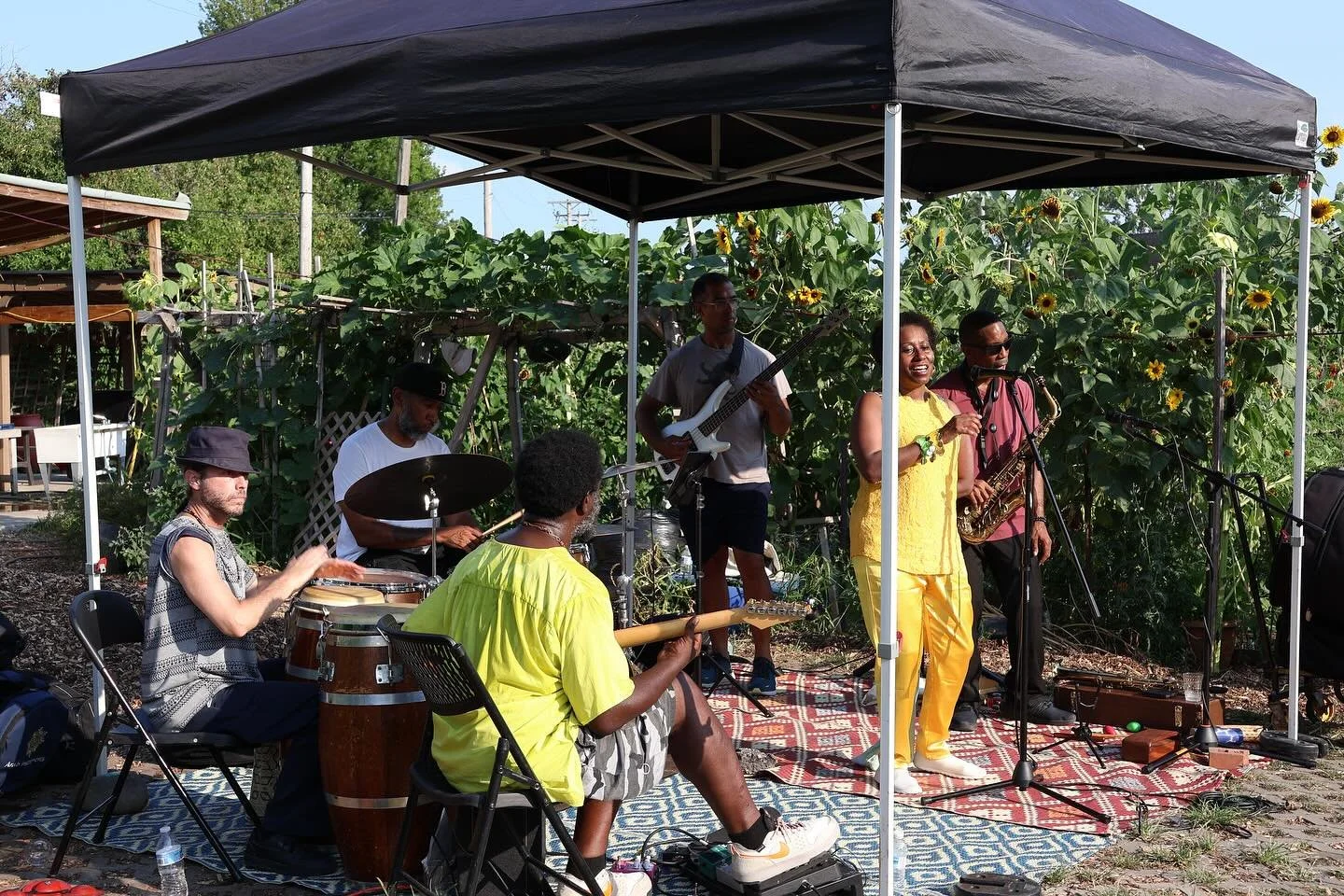Magic Carpet band.jpg