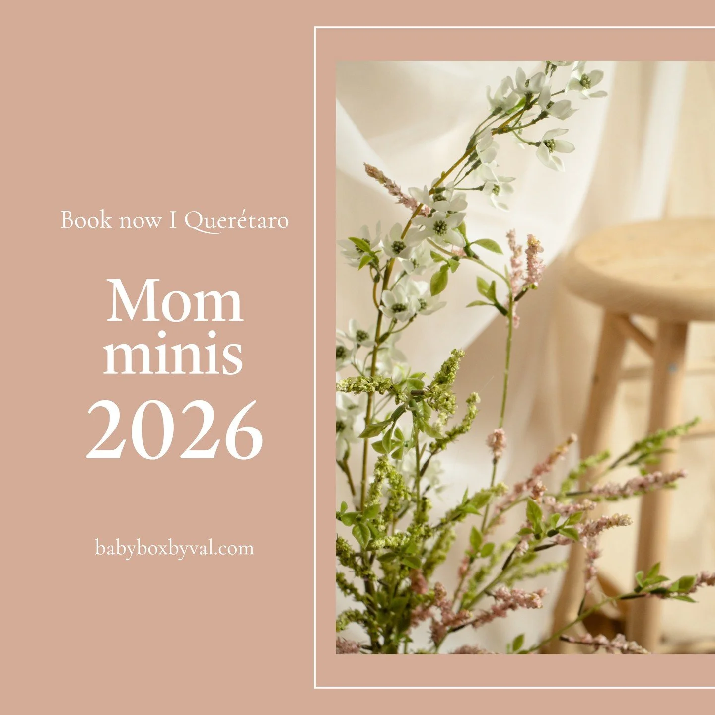 Mom Minis 2026 ya est&aacute;n abiertas✨ 
📅 20 abril &ndash; 5 mayo 📍 Quer&eacute;taro
🌿 Cupos limitados (solo 7)

Incluye:
&bull; Sesi&oacute;n en estudio (30 min)
&bull; Hasta 5 personas
&bull; 10 fotos editadas
&bull; Gu&iacute;a de vestuario
C