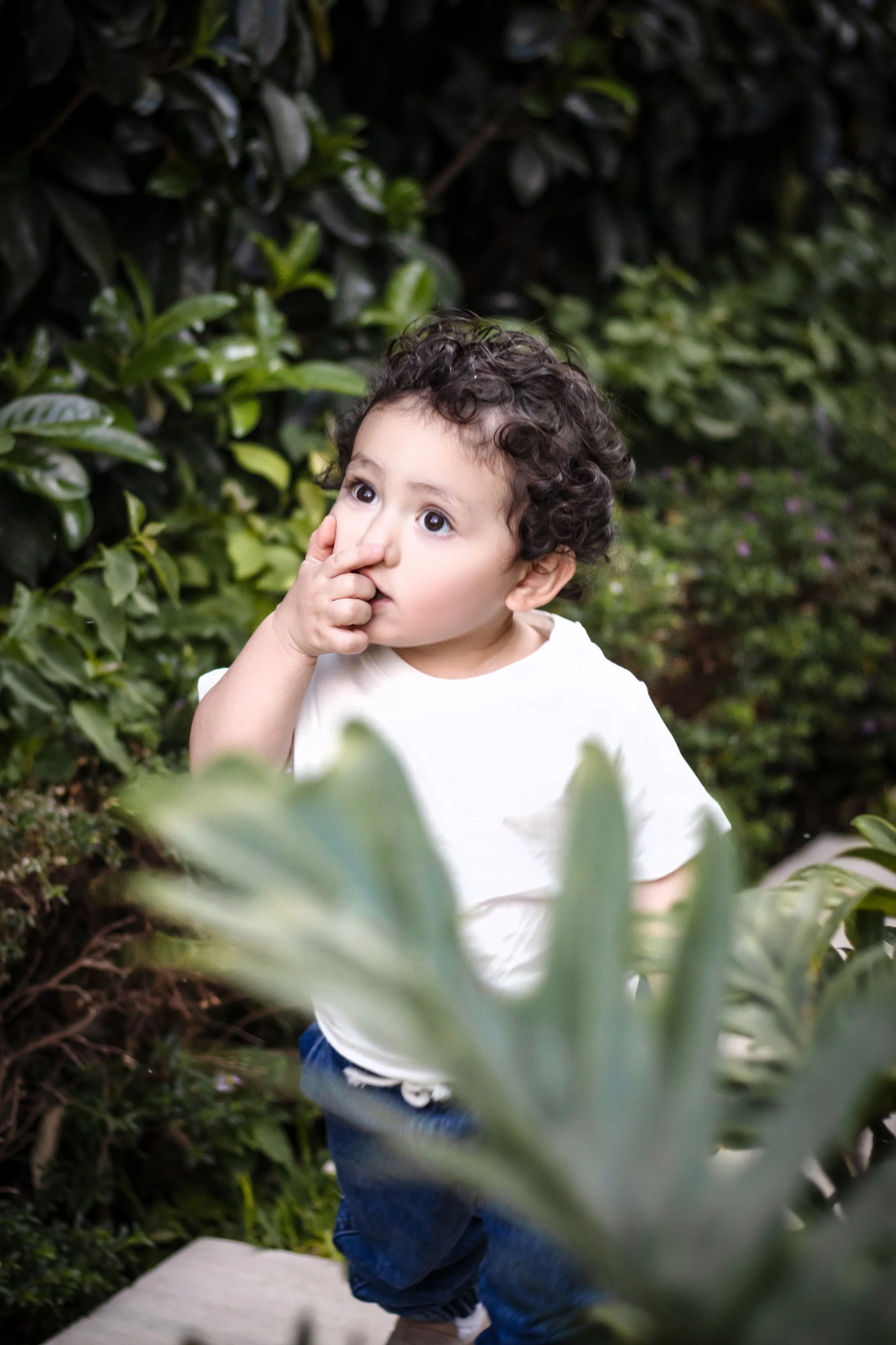 Young child with curly dark hair and wearing a white shirt standing behind greenery outdoors, with one finger in his nose, looking curiously to the side.