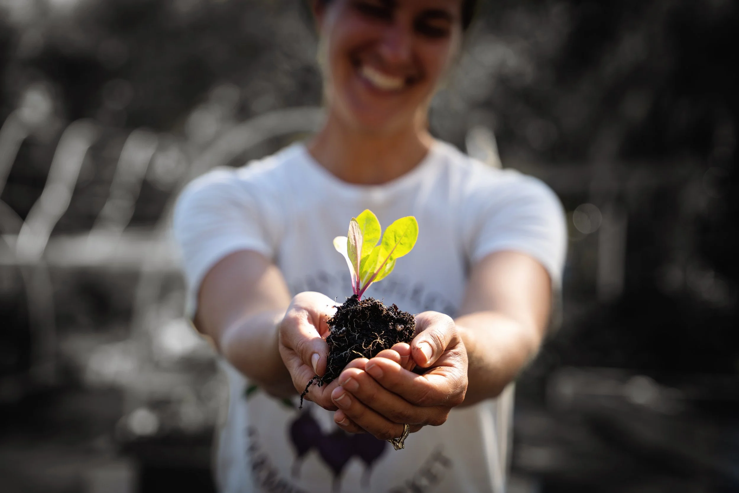 Work done for client of Deksia