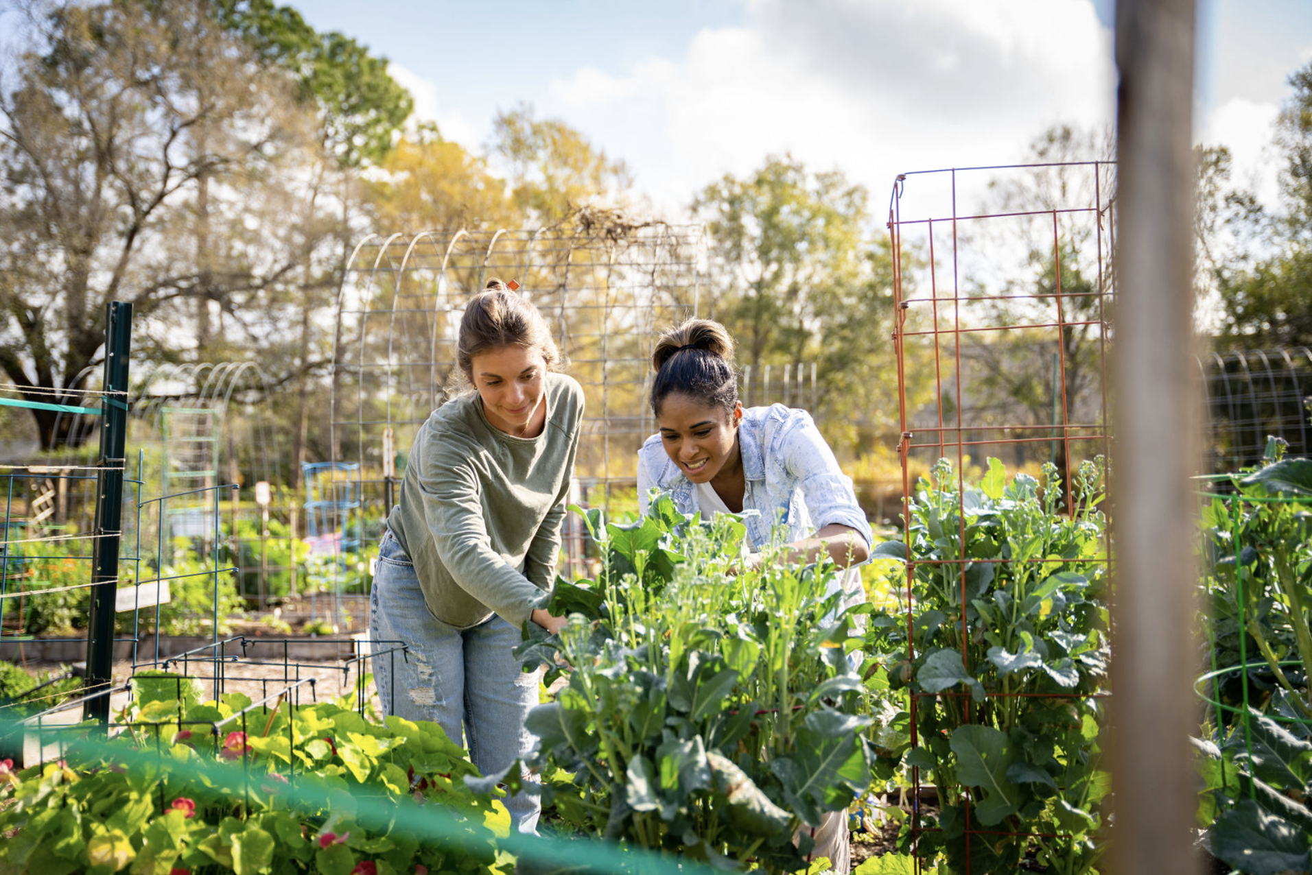 Screenshot 2026-04-14 at 7.58.37 AM.png