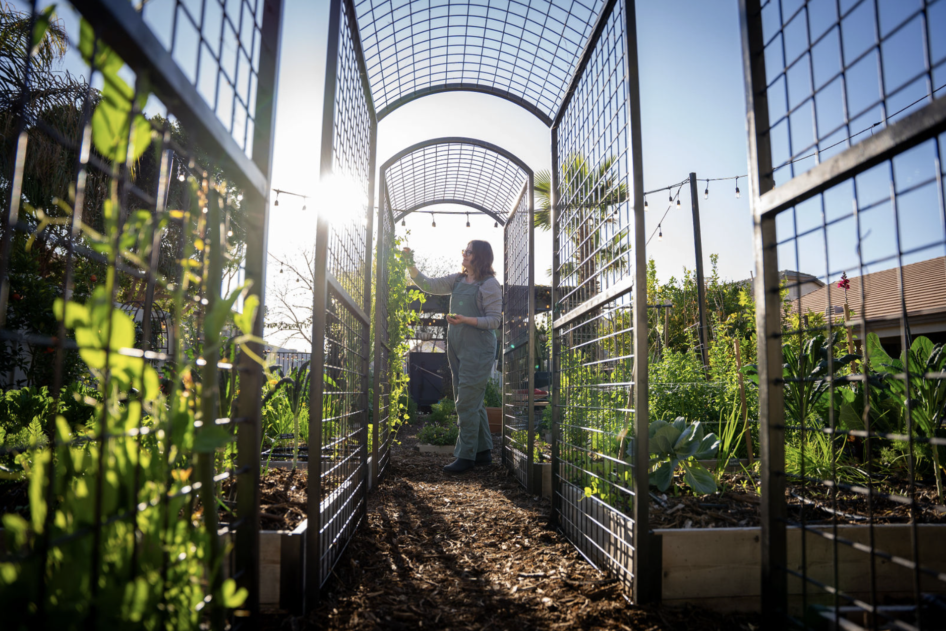 Screenshot 2026-04-14 at 8.00.46 AM.png