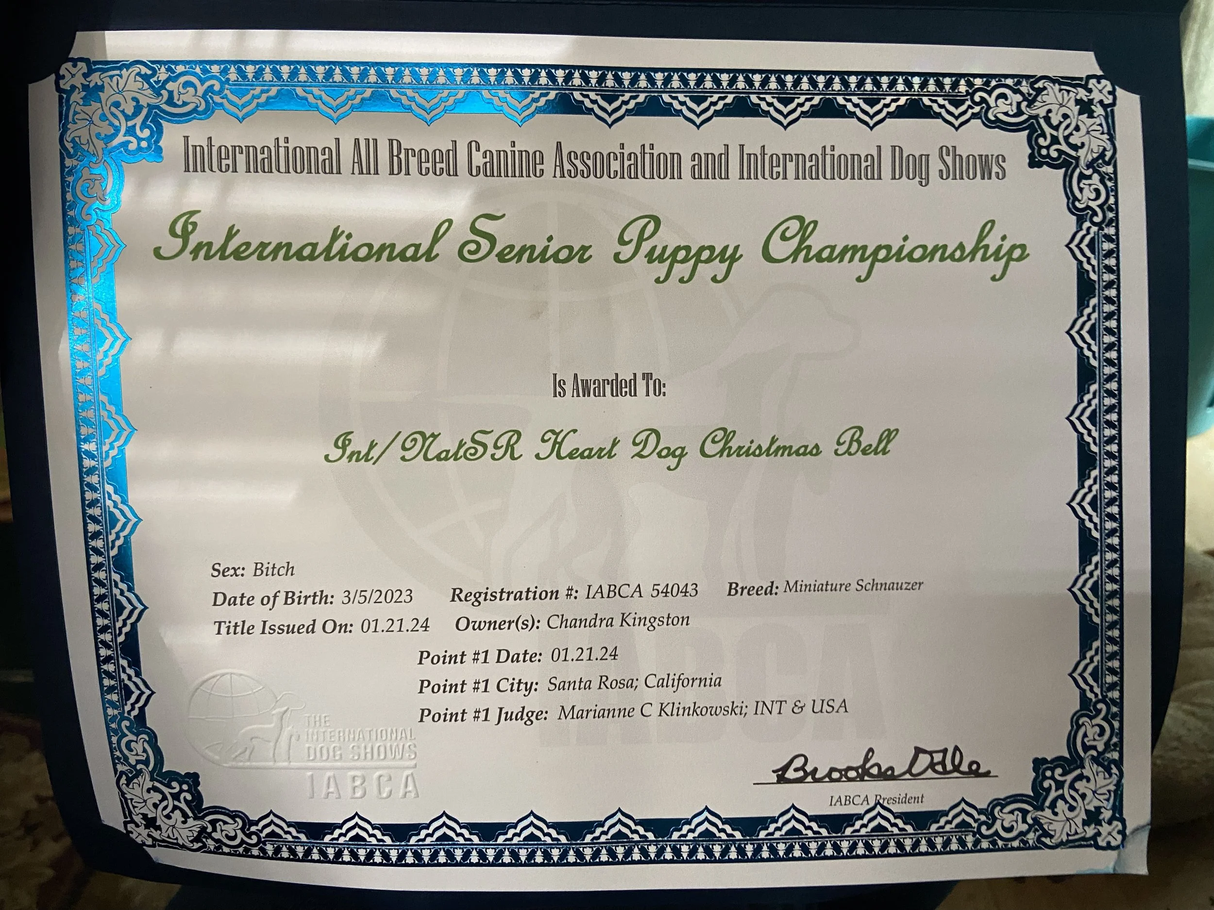 Christmas Bell Cert 02.jpg