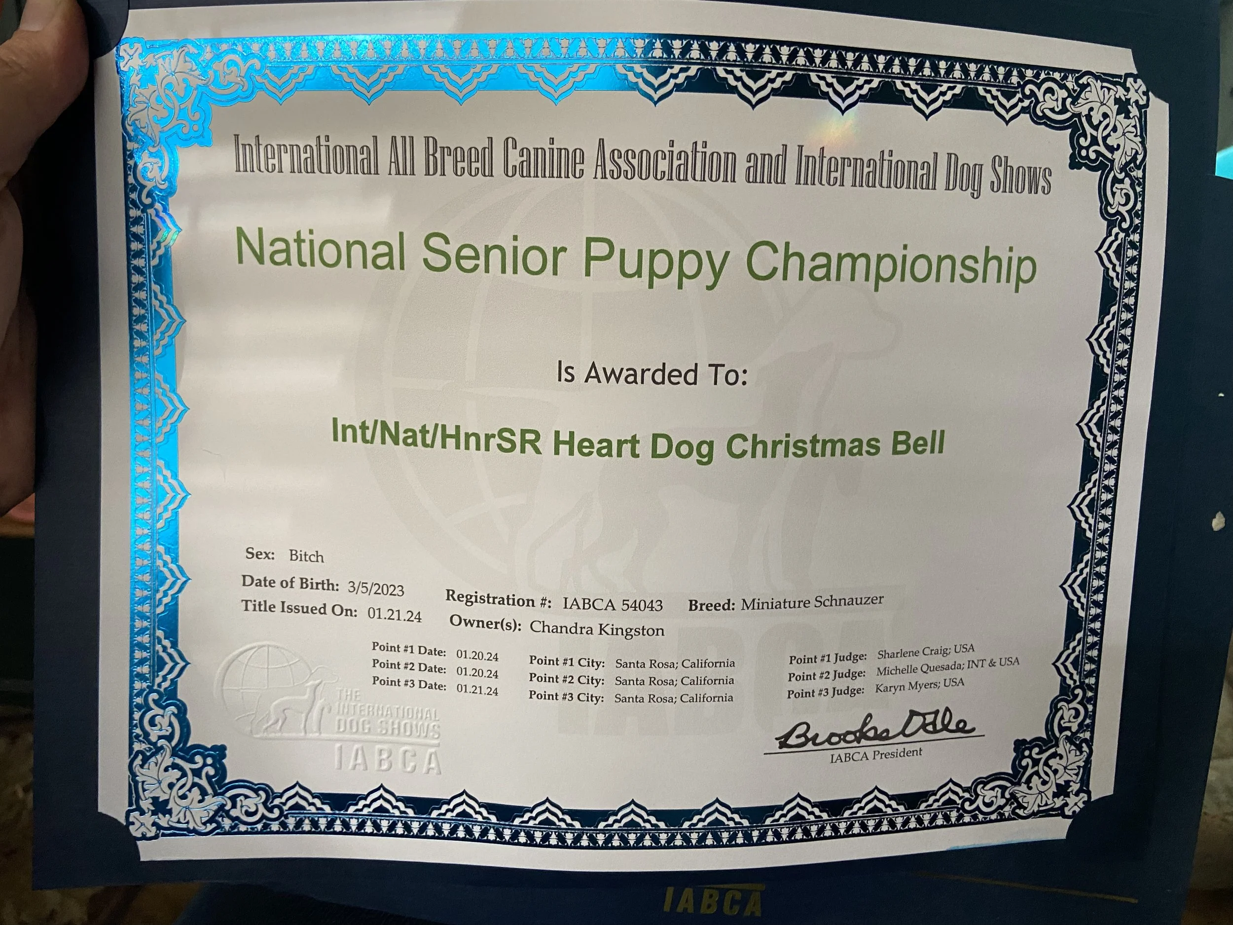 Christmas Bell Cert 01.jpg