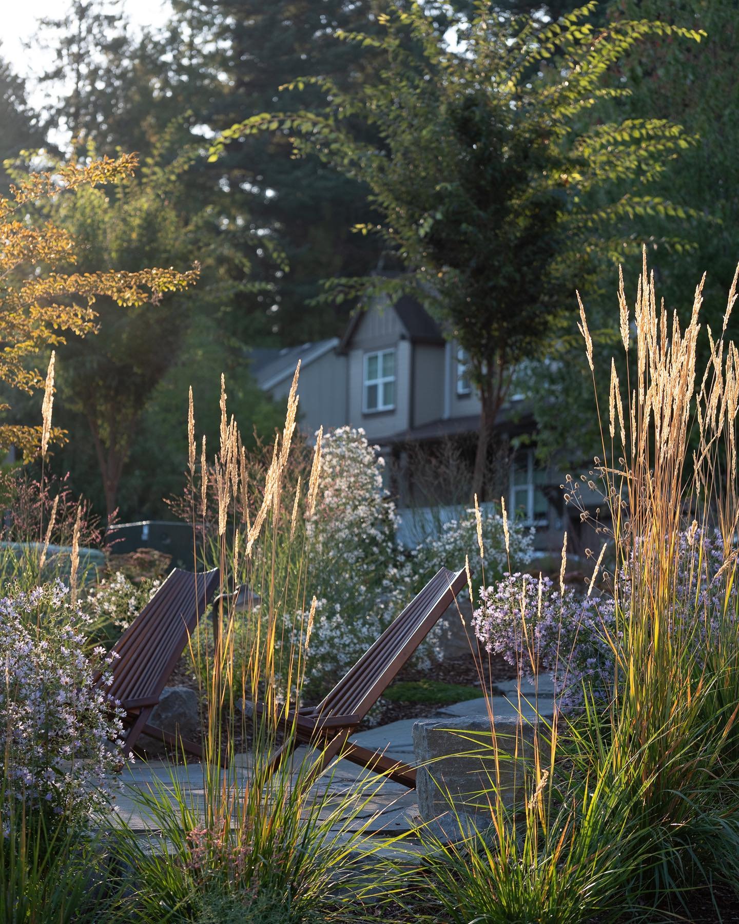 Garden Stories went glam and hired a professional photographer and well, the pictures speak for themselves. Big thanks to Shawn Records. #gardendesign #ecologicaldesign #gardennaturalsim #landscapedesign #northwestnativeplants #pollinatorgarden