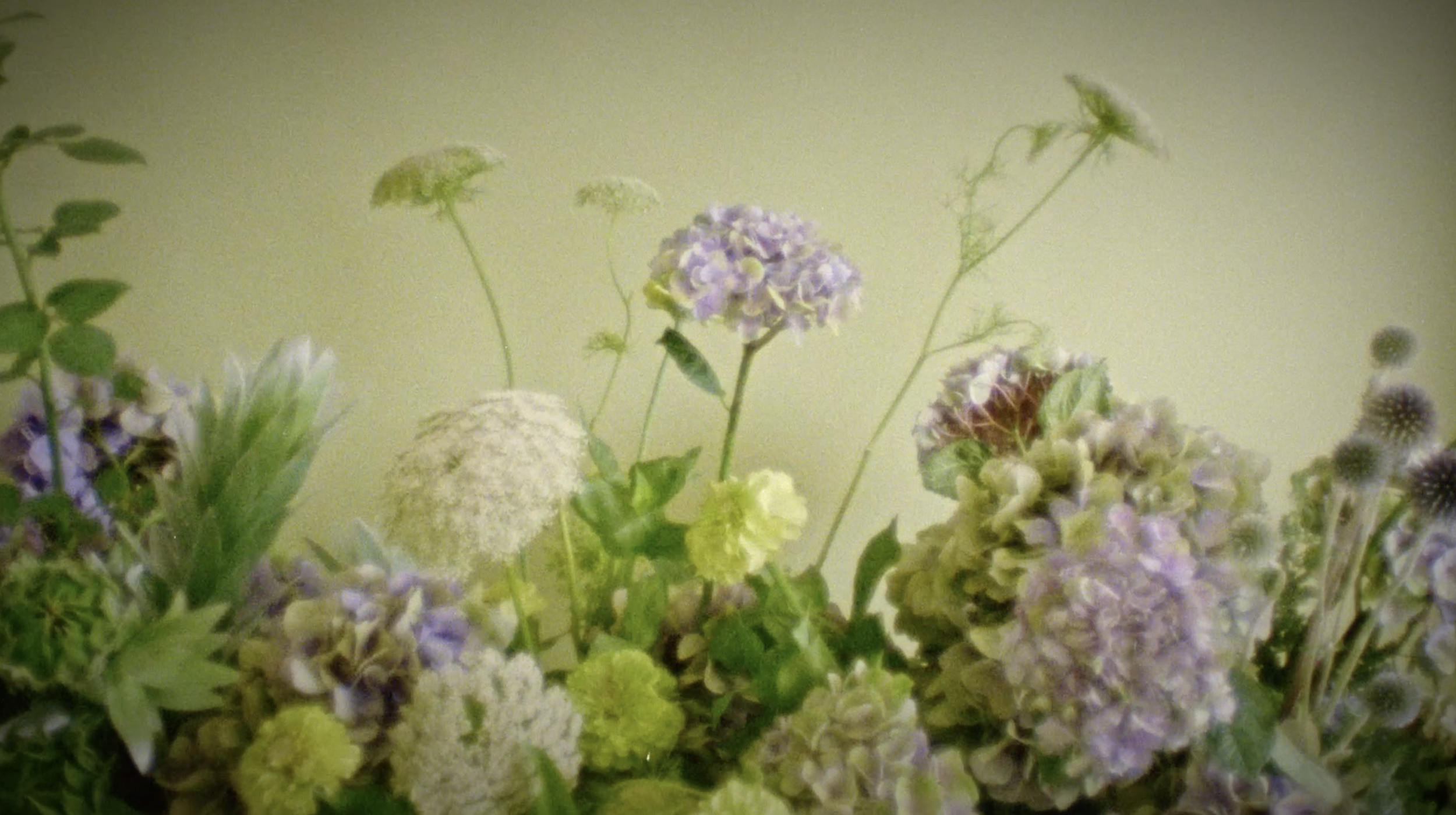 Screenshot 2026-04-09 at 5.19.51 pm.png