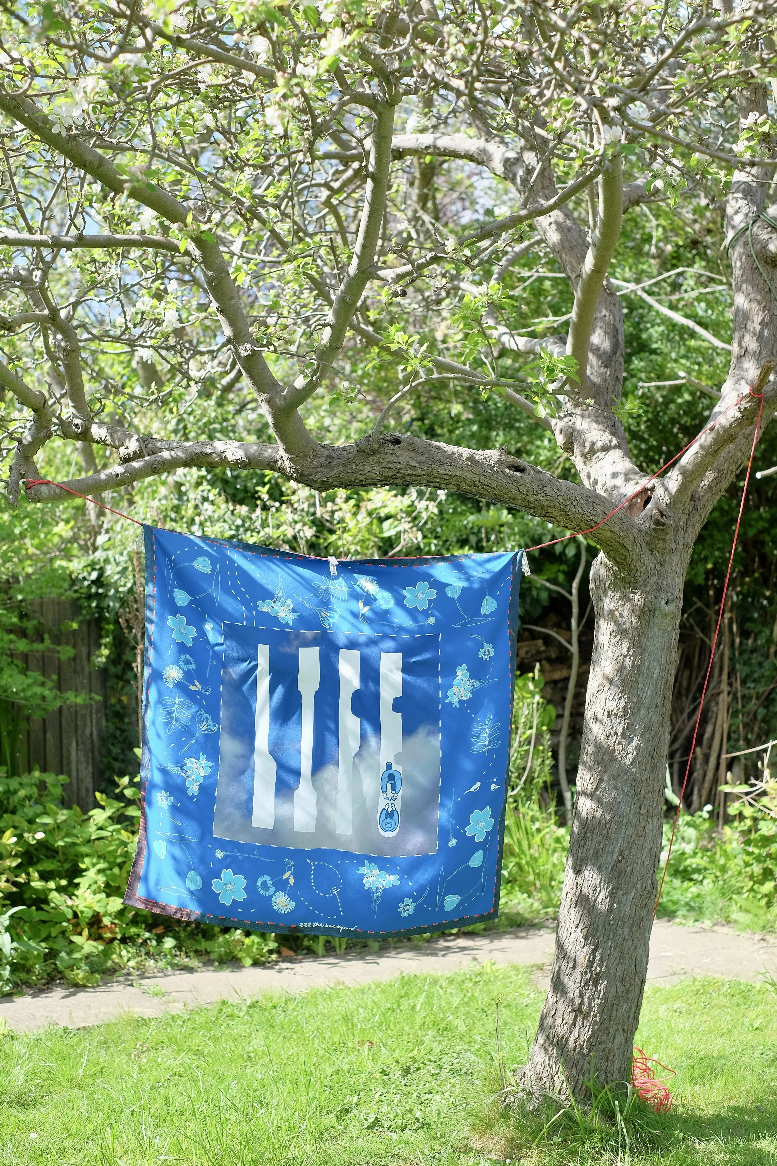 DSCF5868.jpg