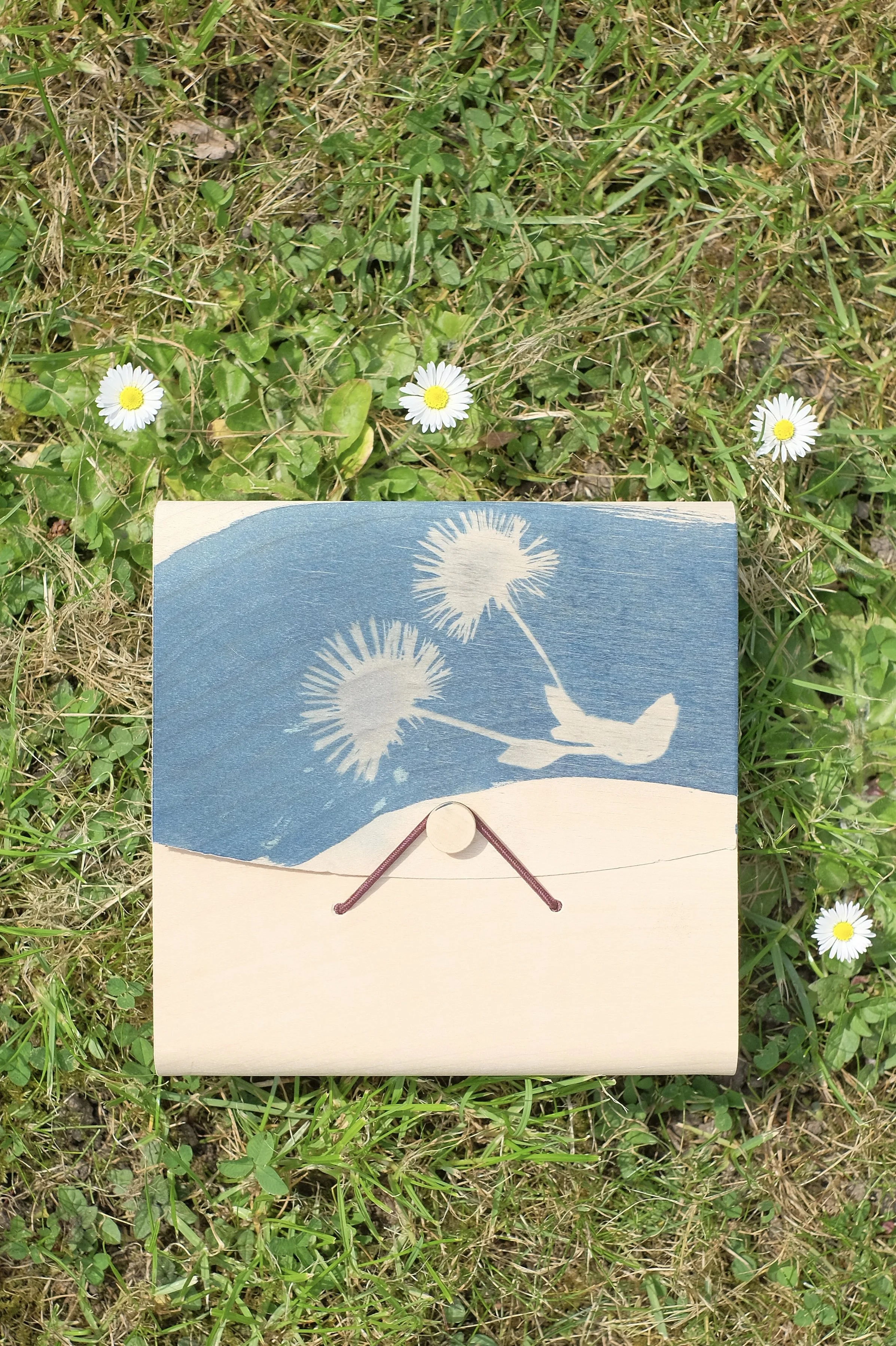 Seaside Daisy, Cyanotype, Garden, Silk, Silk Scarf