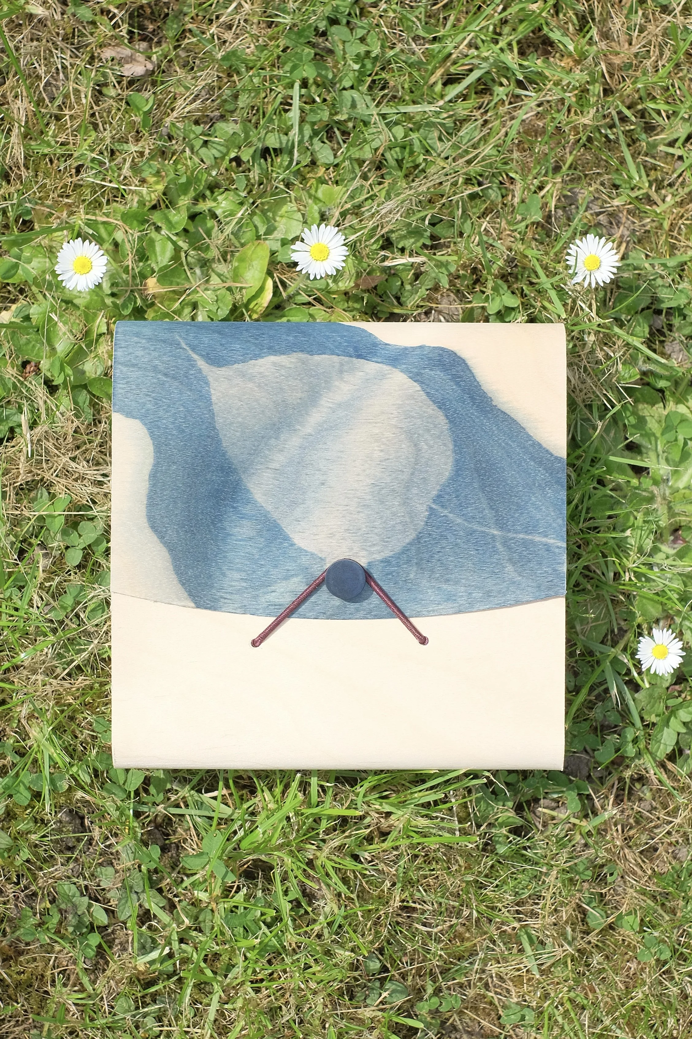 LIFE 'Sky' Silk Scarf + 'Bodhi Tree leave' Cyanotype Wood Box