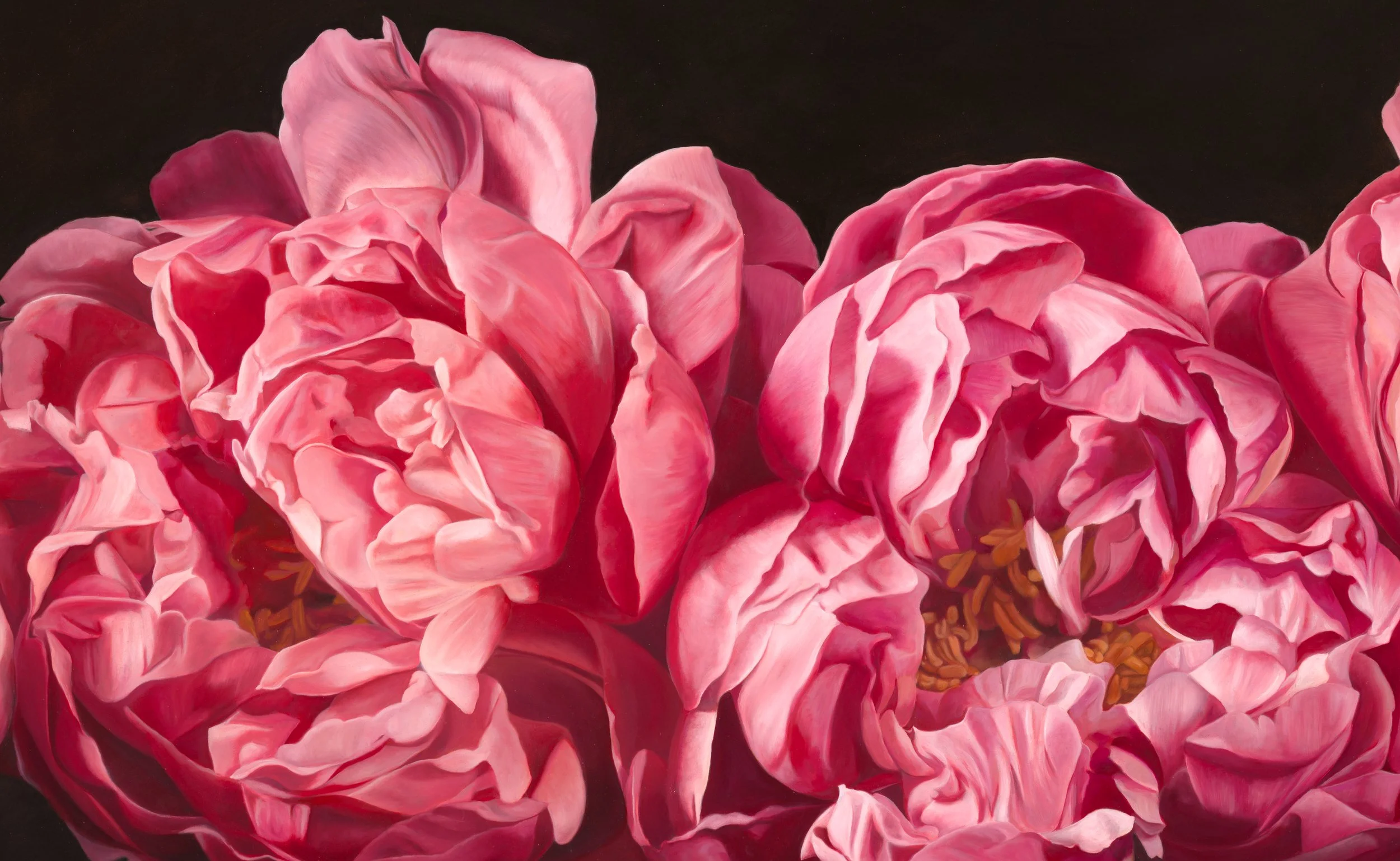 TheCanCan_detail.jpg