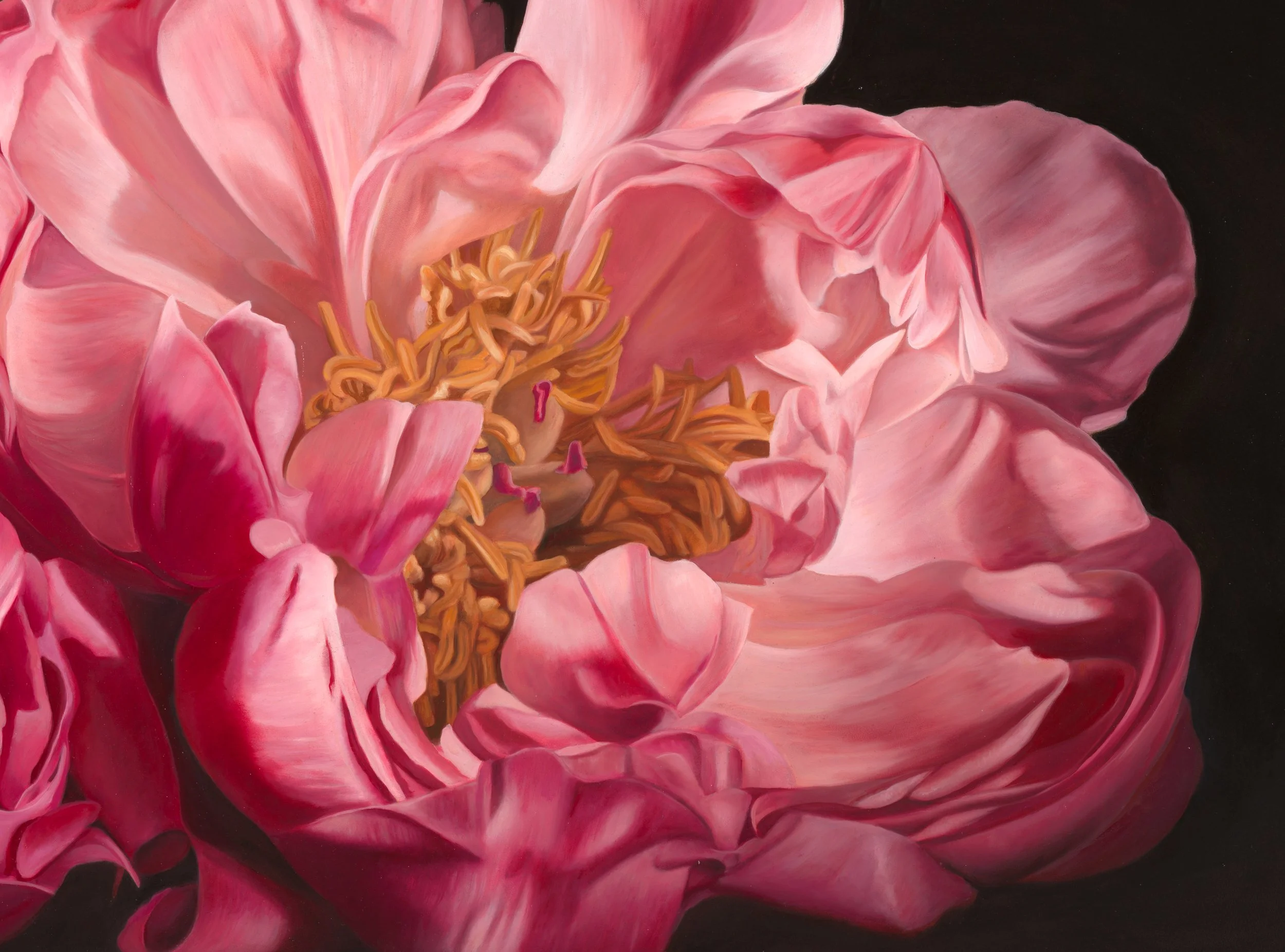 TheCanCan_detail 2.jpg