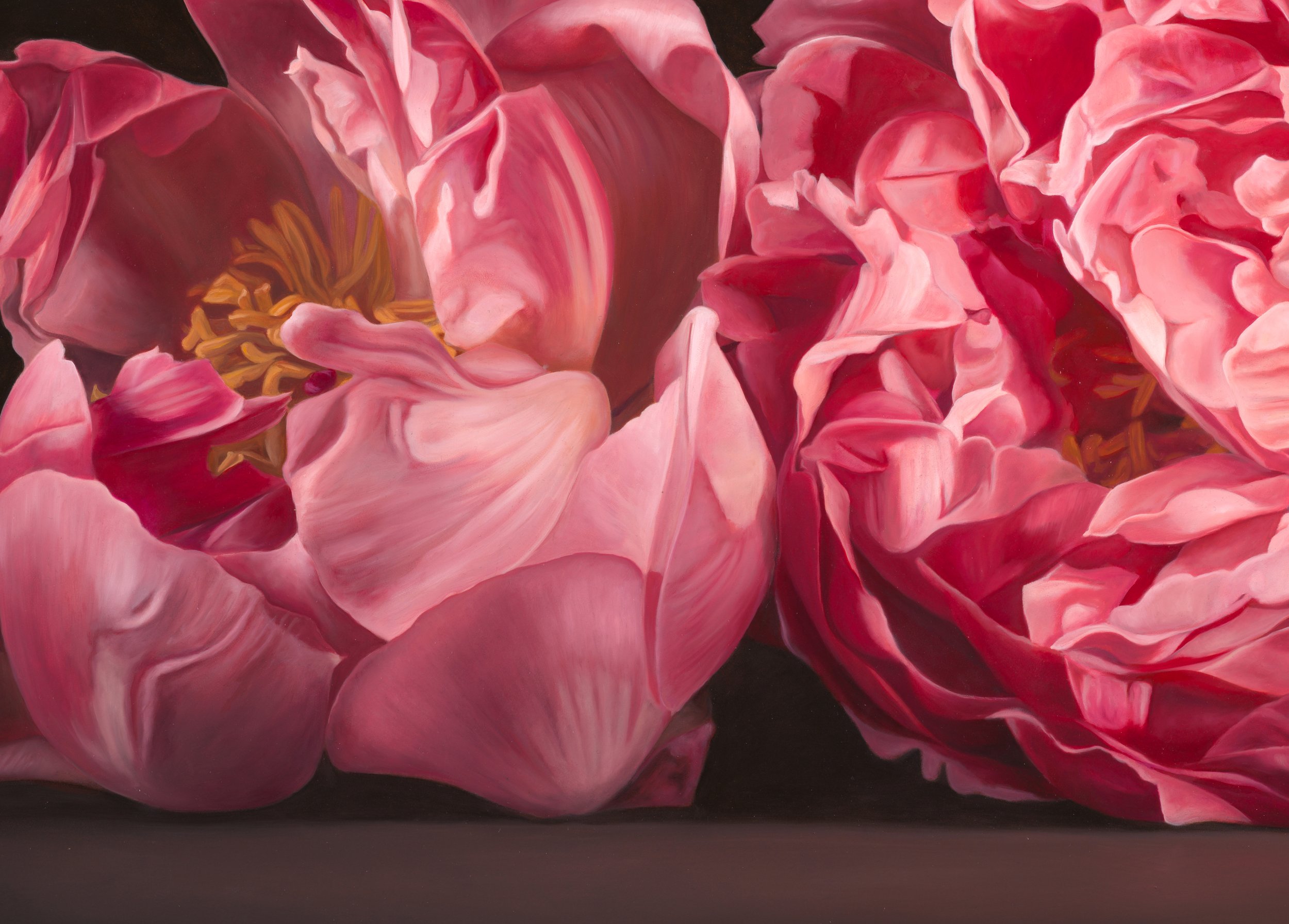 TheCanCan_closeup2.jpg
