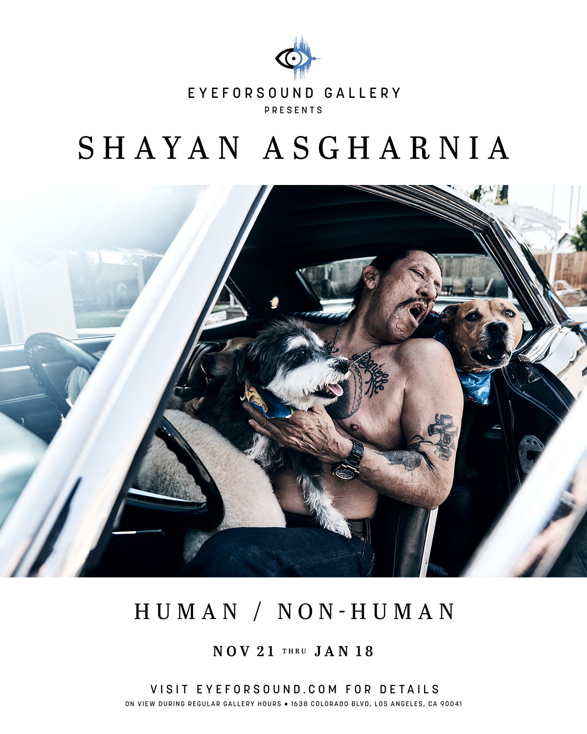 Shayan Asgharnia - Human / Non-Human