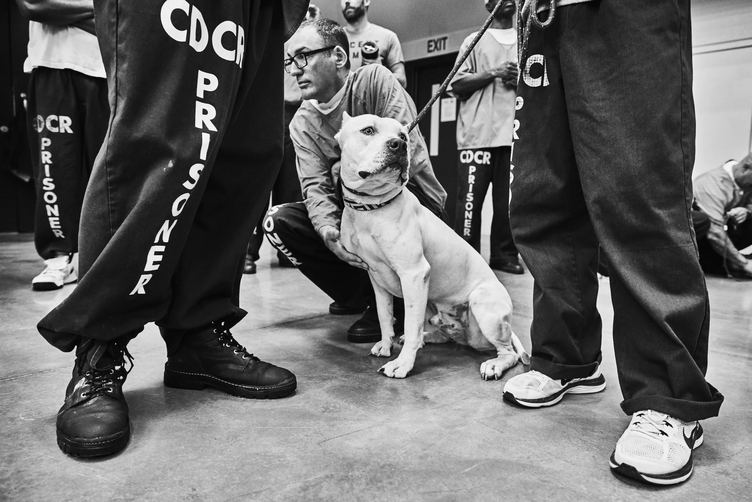 Pawsitive Change; California City Correctional Facility (2017)