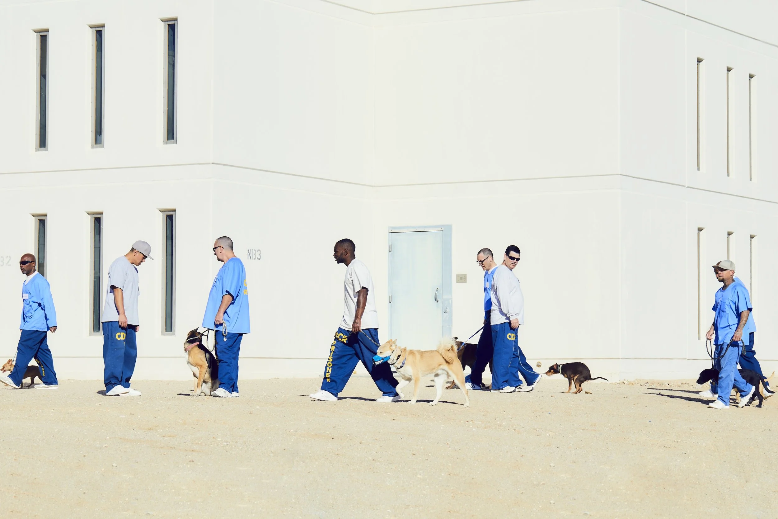 Pawsitive Change; California City Correctional Facility (2017)