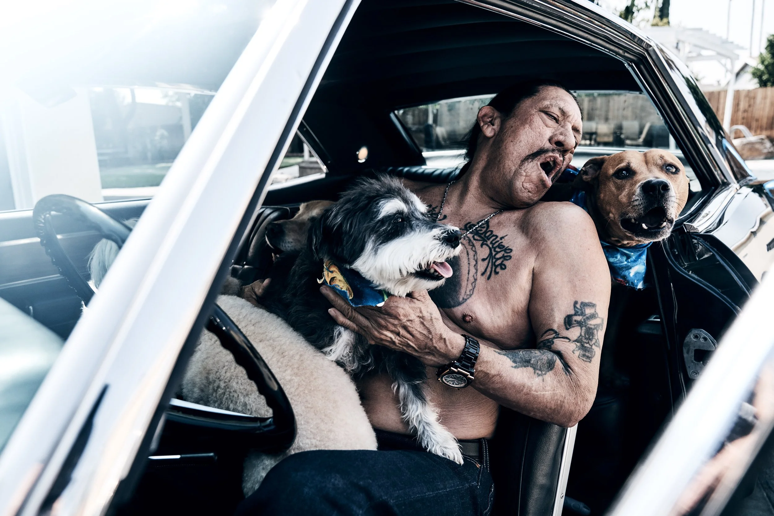 Danny Trejo and his dogs; Mission Hills, CA (2020)