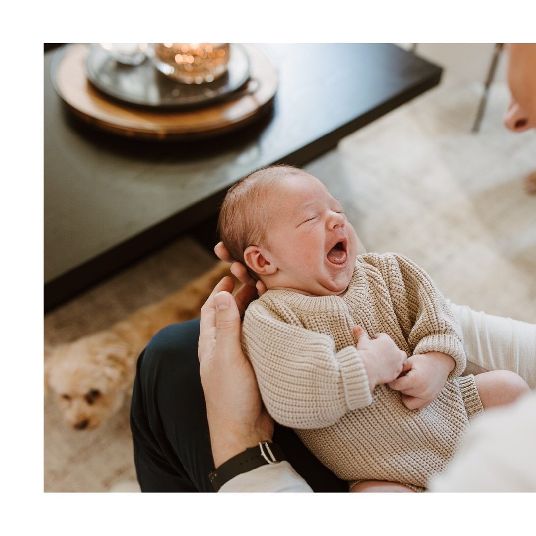 You voted, and families took the top spot! 🥰 So here&rsquo;s one of the sweetest families I&rsquo;ve had the honor of capturing over the years&mdash;from college graduation to engagement, a fun-filled wedding day, and now the beginning of their beau