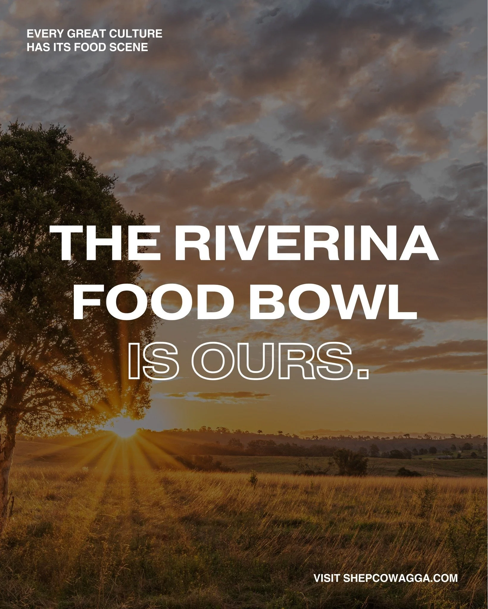 The Riverina Food Bowl isn&rsquo;t just a region; it&rsquo;s our story, our flavour, our pride. 🌾🍇🐑 And we love serving it up for you to see and taste. 🍷🍽️😋 @mr.lawrencewagga @sparewagga @borambolawines @food_i_am 

#RiverinaFoodBowl #ShepCo #V