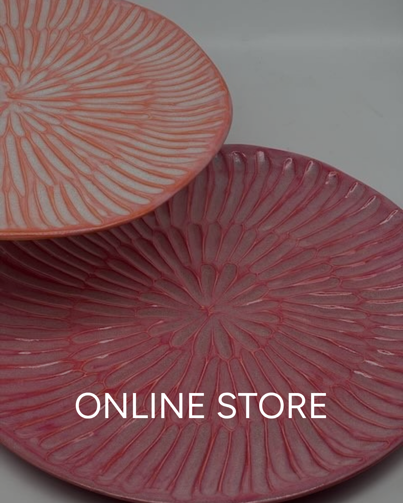 Close-up of two coral-colored porcelain plates with a detailed, radiating pattern that mimics the appearance of a grapefruit. The plates have a glossy finish, with the pattern highlighting the segmented, fleshy interior of the fruit.